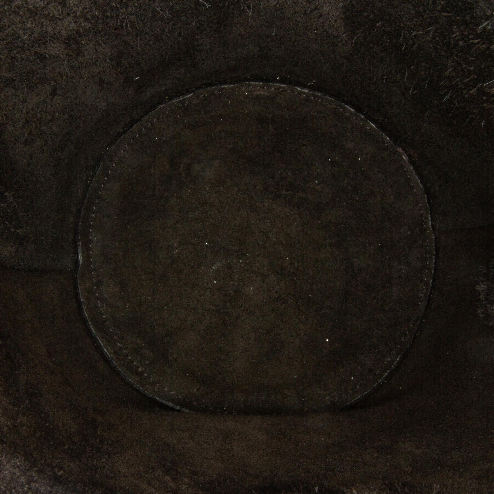 Celine Nano Big Bucket Bag (SHG-Sc3epy)