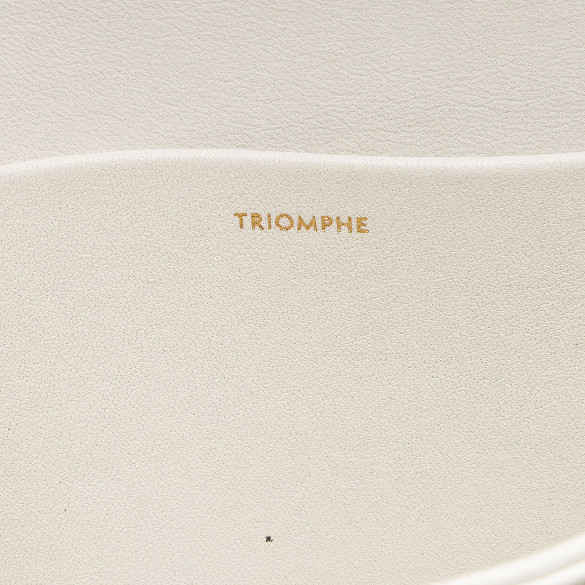 Celine Shiny Calfskin Triomphe Classique Shoulder Bag