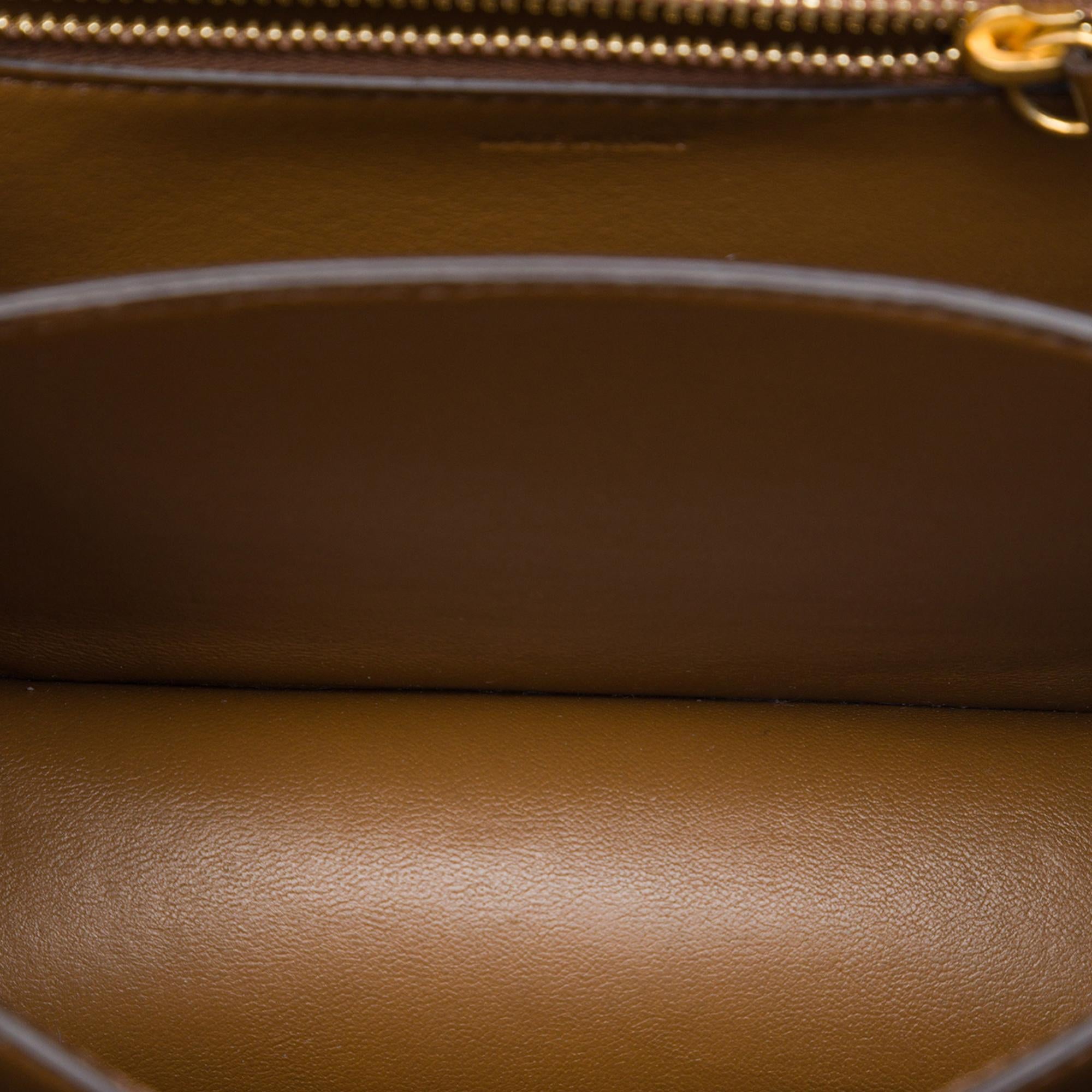 Celine Small Calfskin Classic Box
