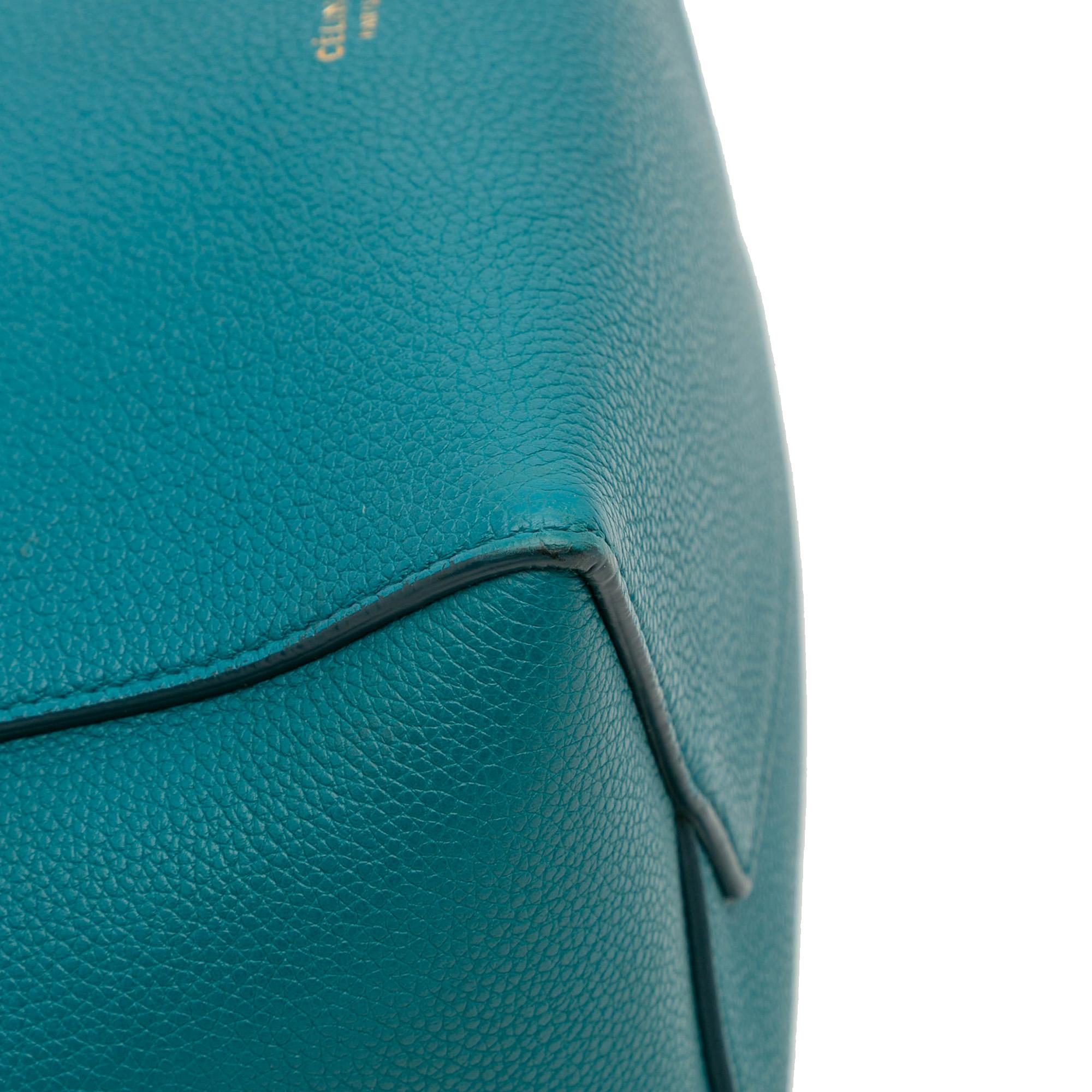 Celine Small Soft Grained Calfskin Seau Sangle Bucket Bag