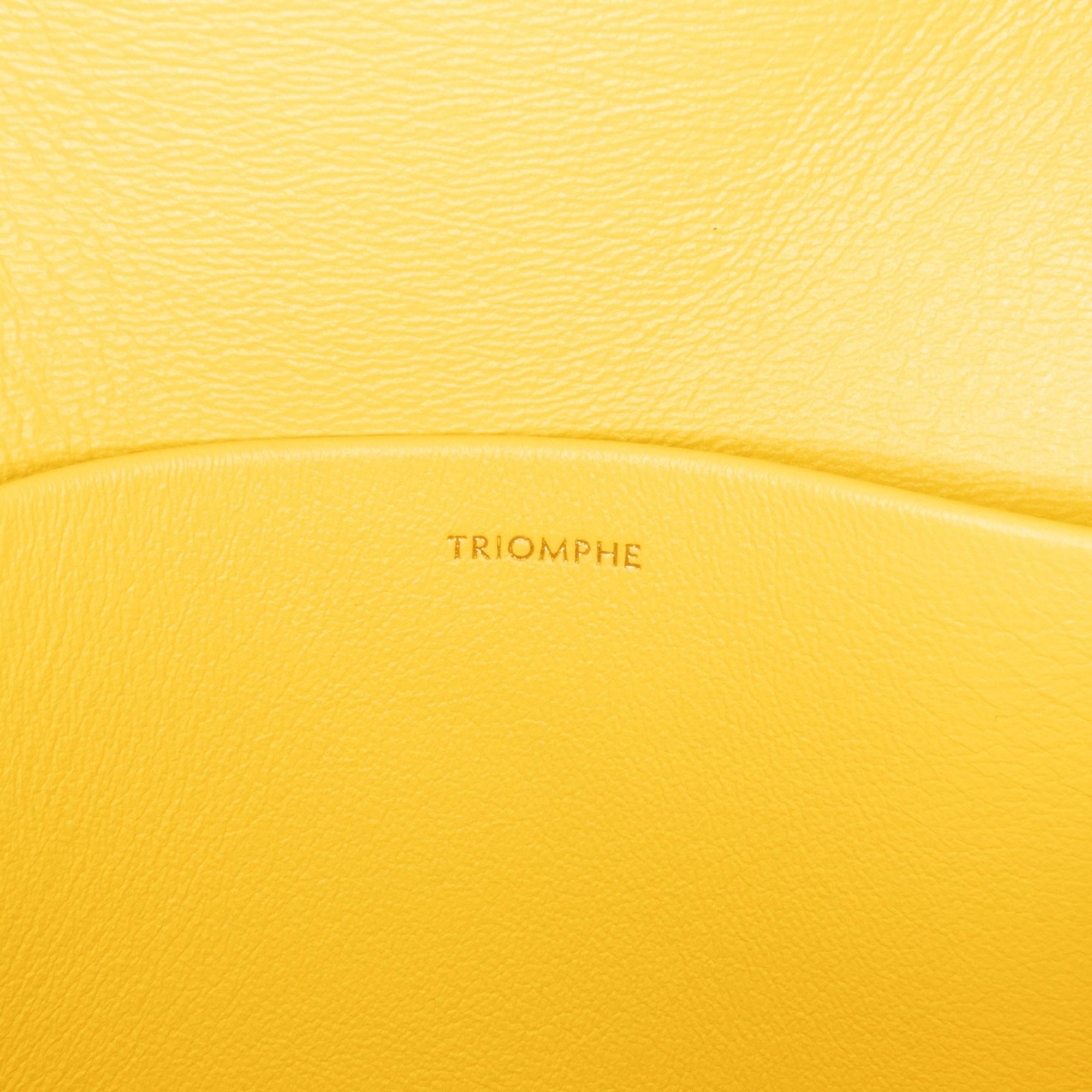 Celine Teen Shiny Calfskin Triomphe Crossbody