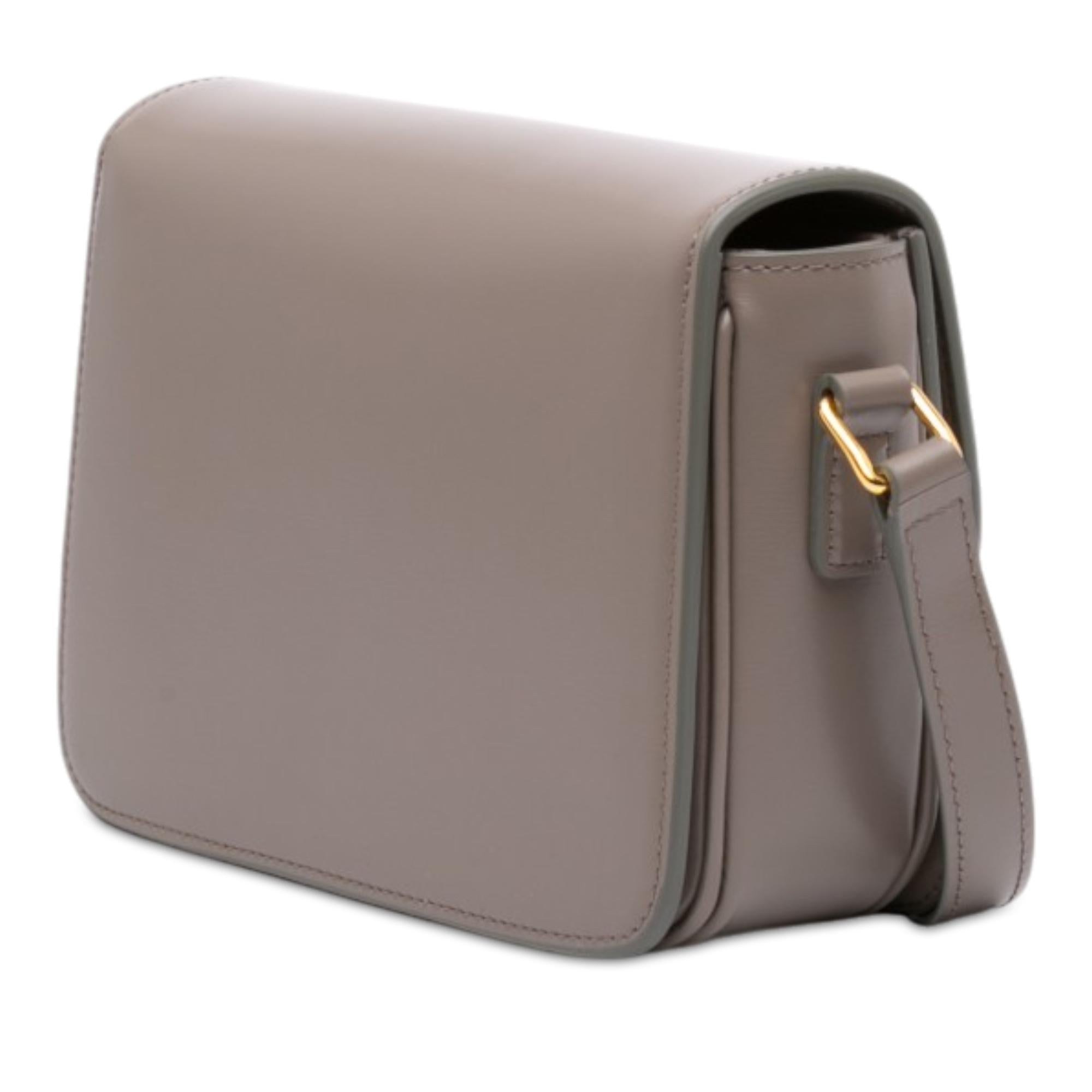 Celine Teen Shiny Calfskin Triomphe Crossbody