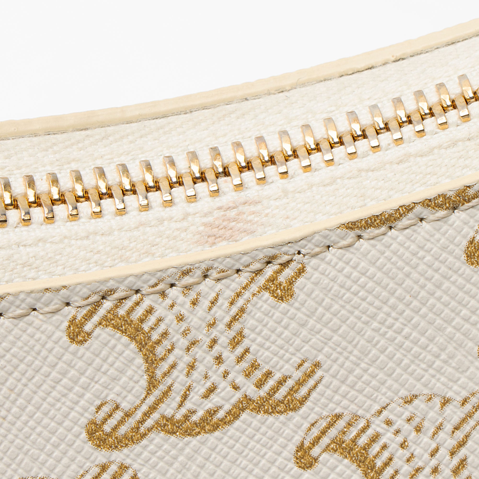 Celine Triomphe Canvas Ava Medium Shoulder Bag