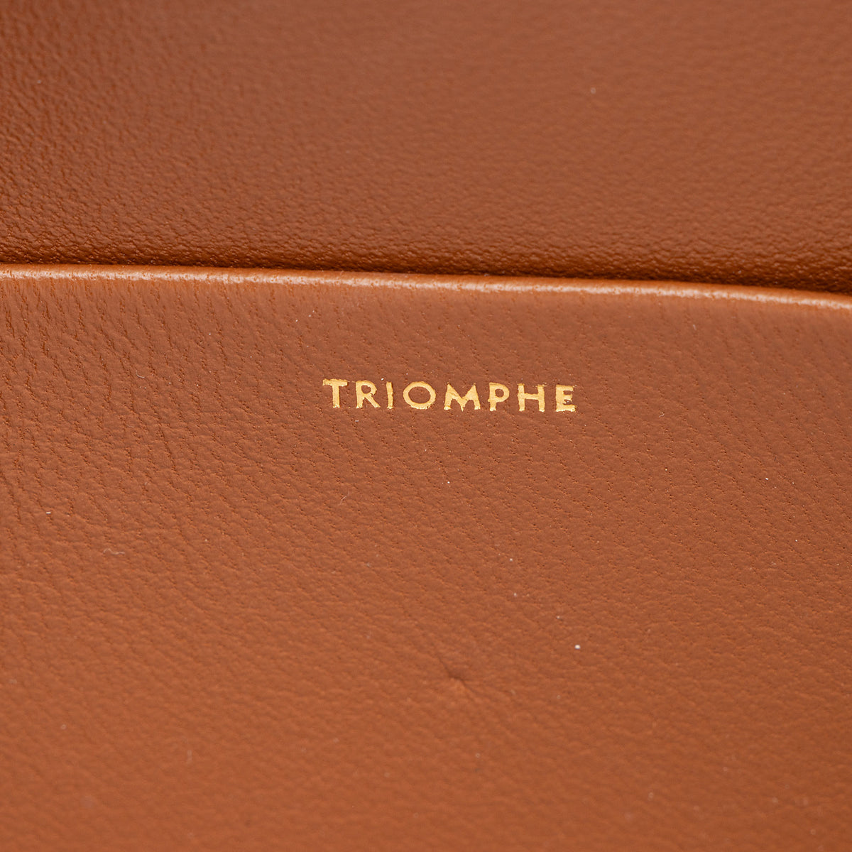 Celine Triomphe Canvas Claude Shoulder Bag