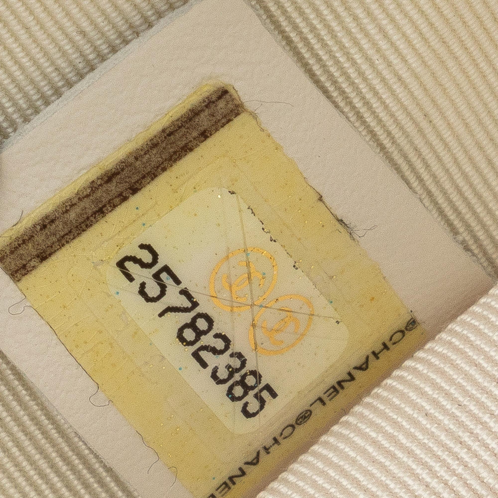 Chanel Aquarium Backpack