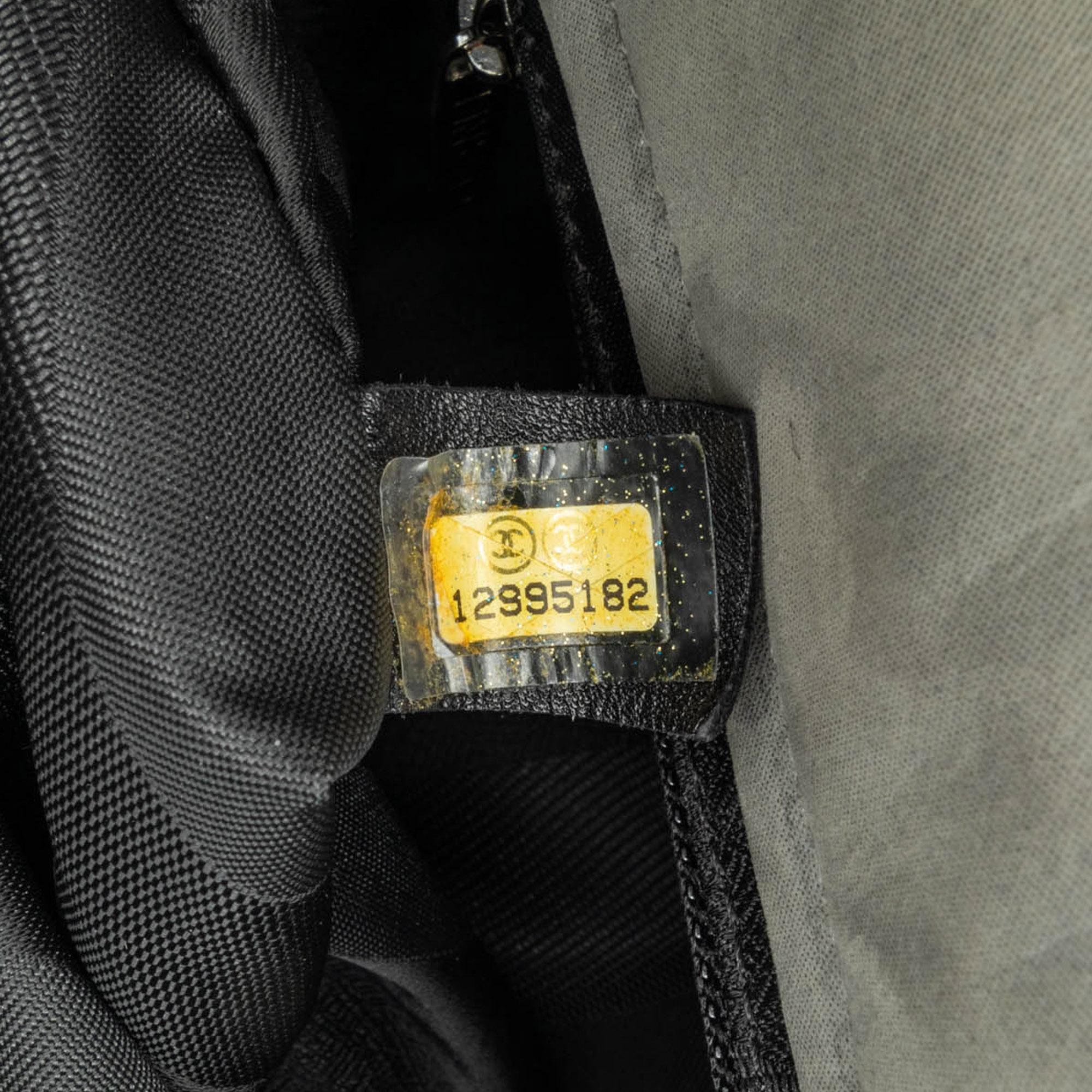 Chanel Glazed Calfskin Iridescent Portobello Flap (SHG-rglyZs)