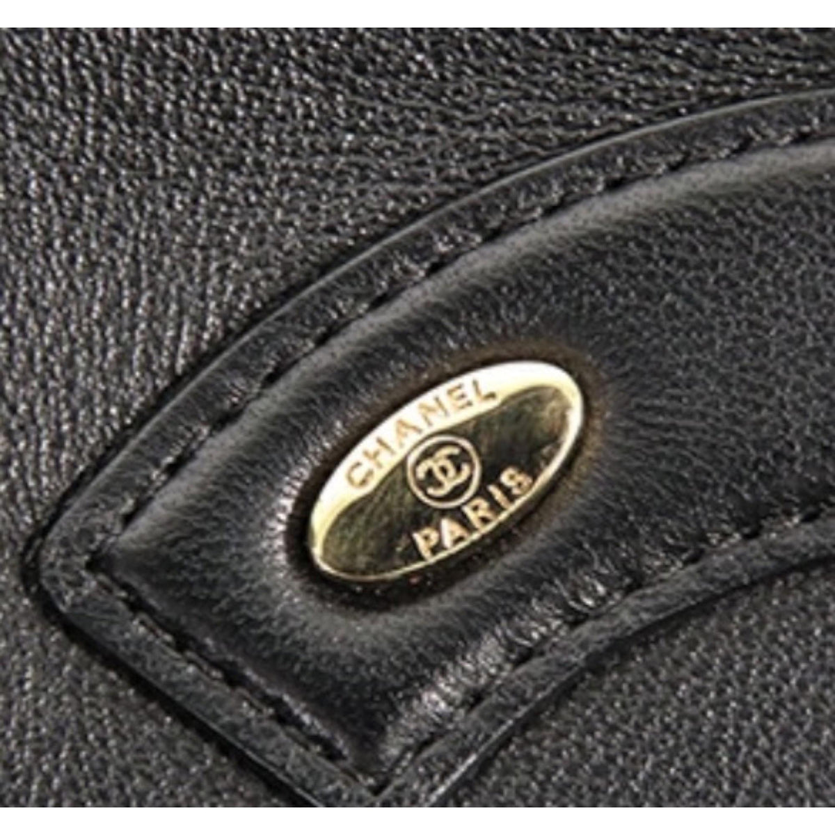 Chanel Lambskin CC Mania Camera Bag