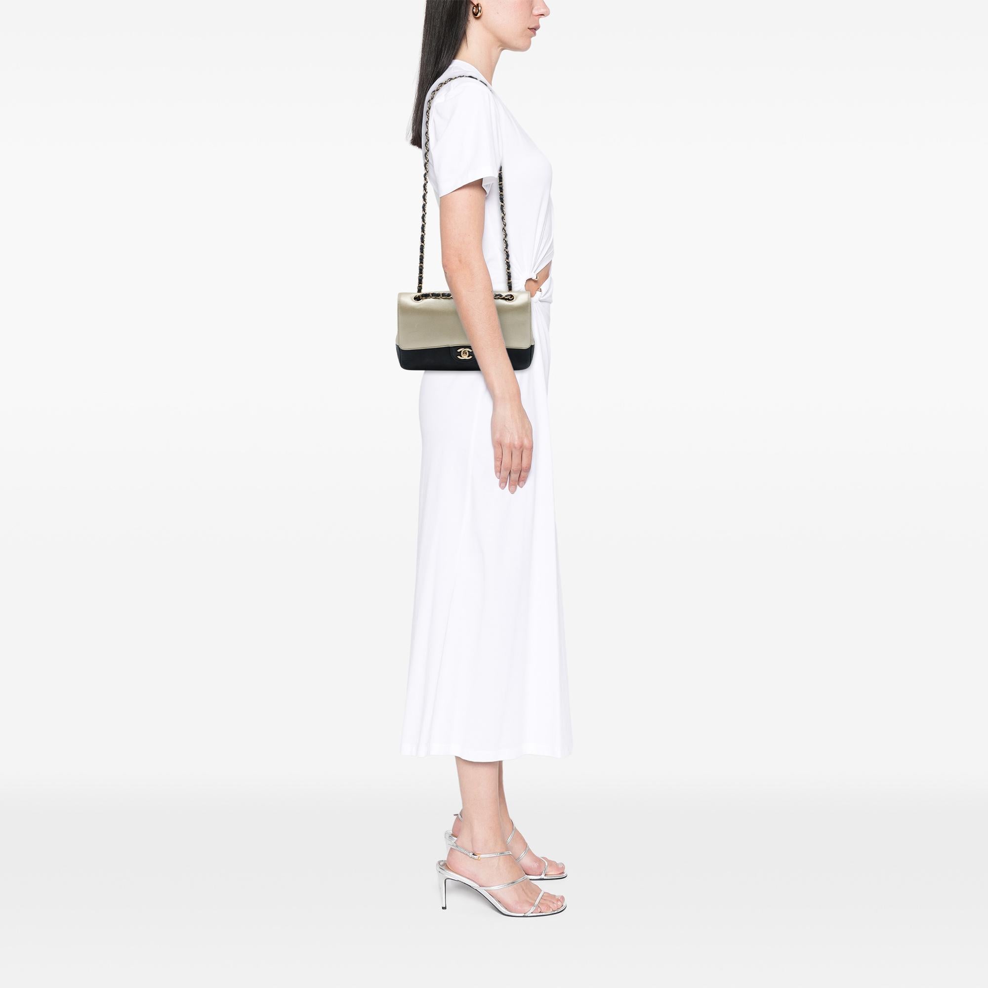 Chanel Medium Classic Bicolor Caviar and Iridescent Calfskin Double Flap
