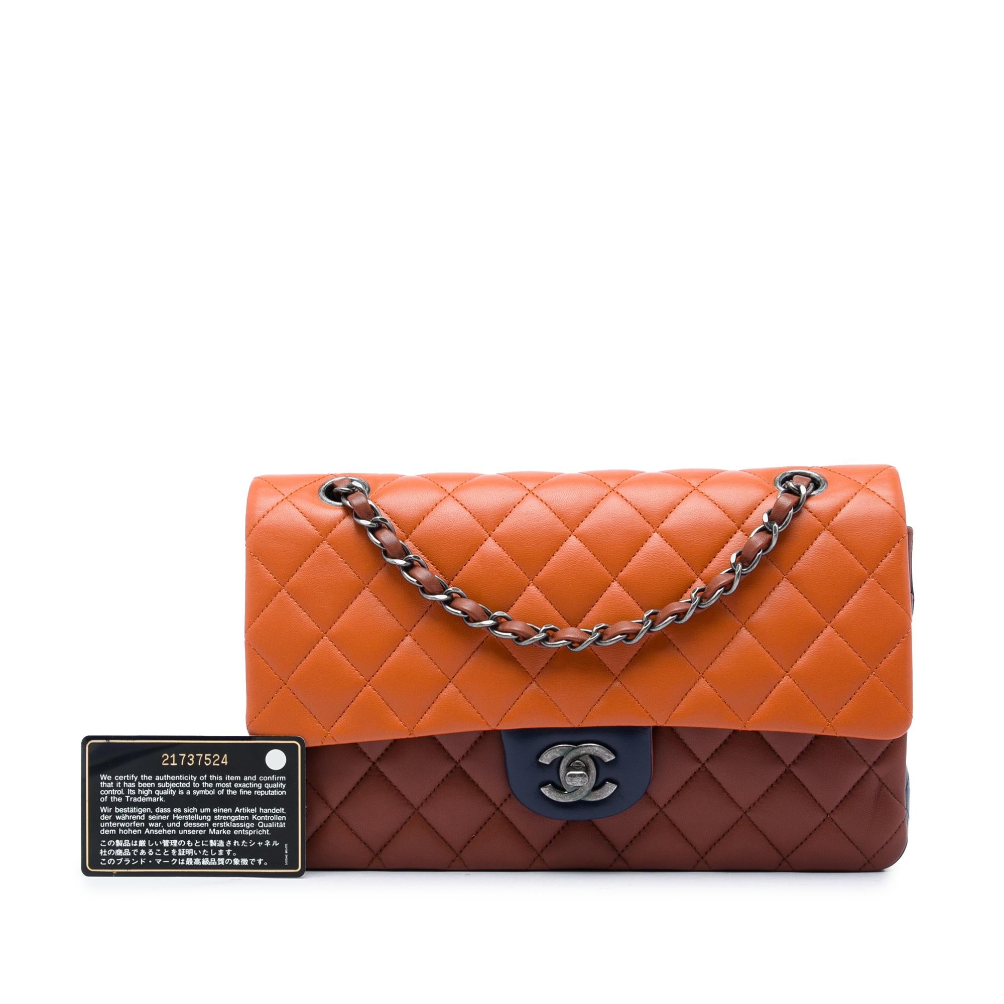 Chanel Medium Classic Tricolor Lambskin Double Flap