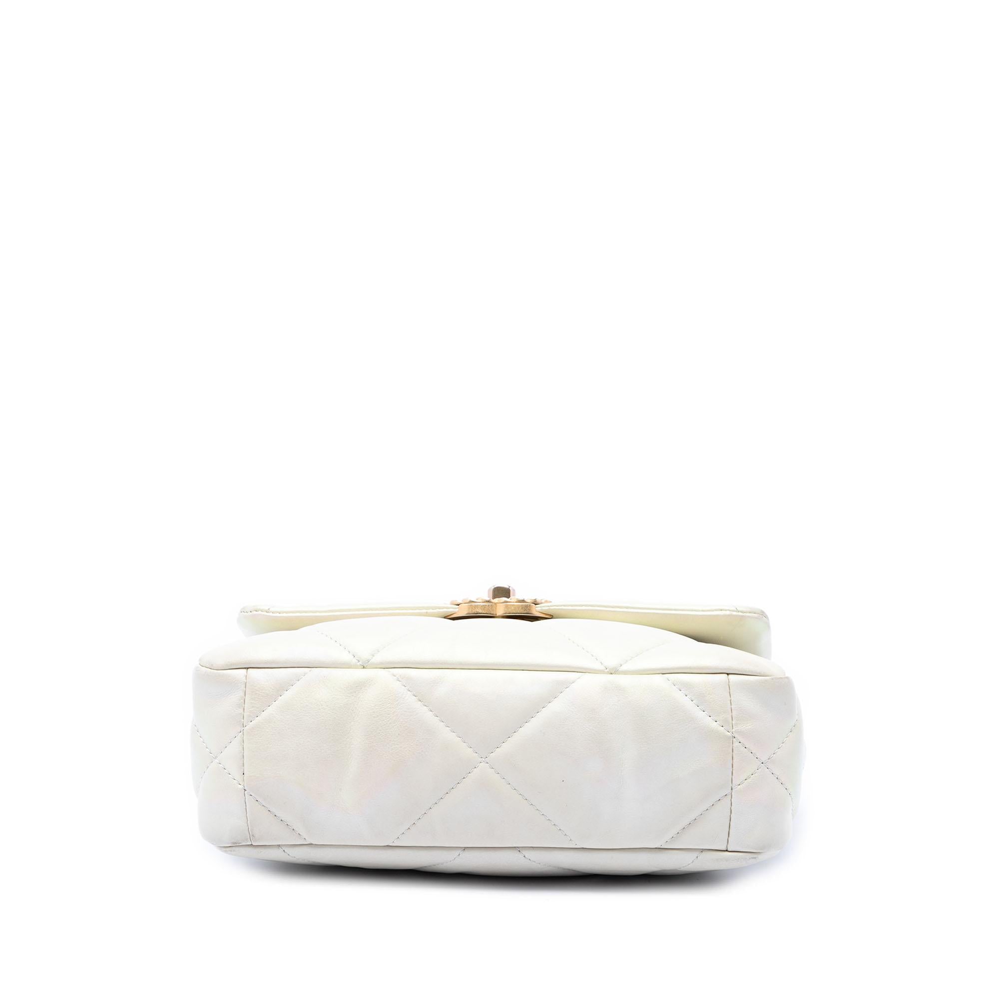 Chanel Medium Iridescent Lambskin 19 Flap