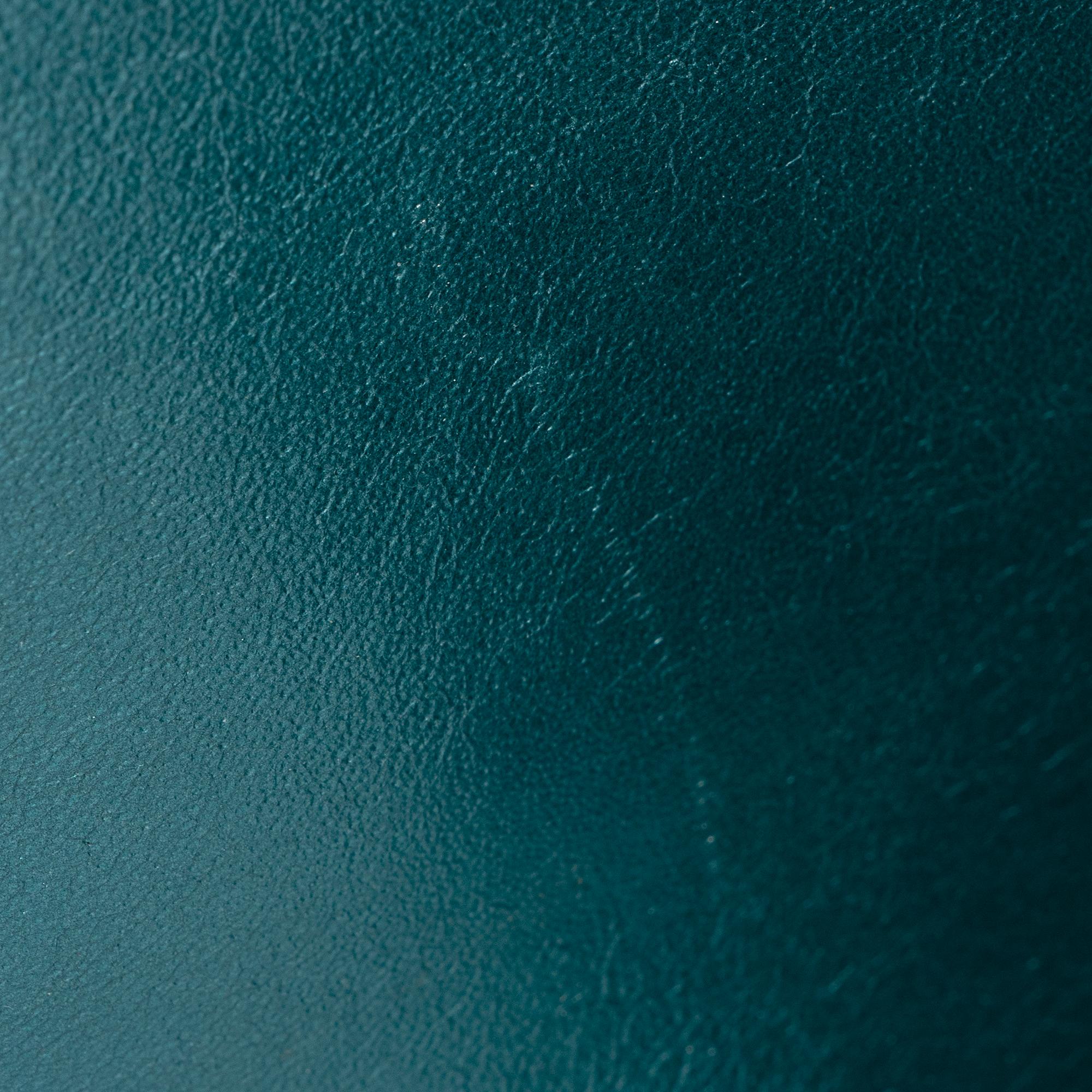 Chanel Metallic Aged Calfskin Reissue 227 Double Flap Bag (SHF-23459)