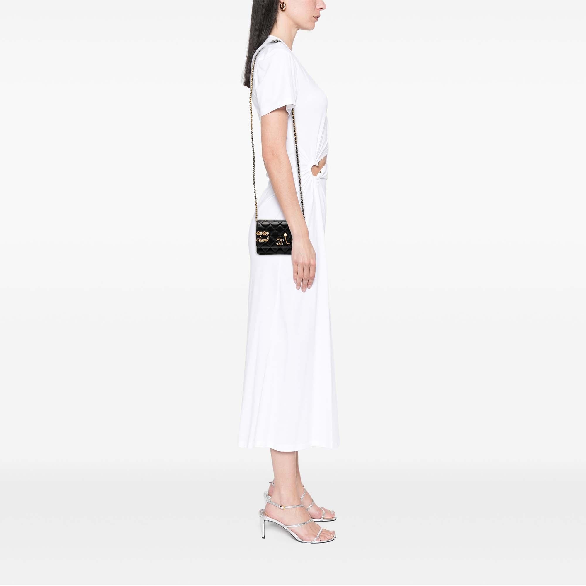 Chanel Mini CC Quilted Lambskin Coco Clips Wallet on Chain