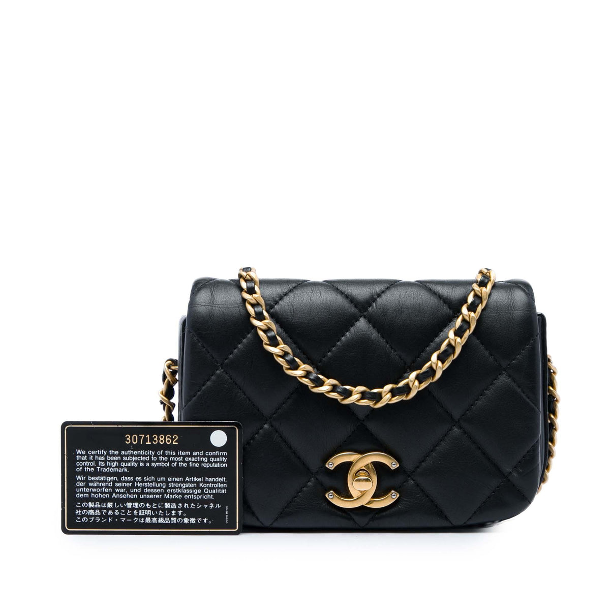 Chanel Mini Quilted Calfskin Nailed CC Flap