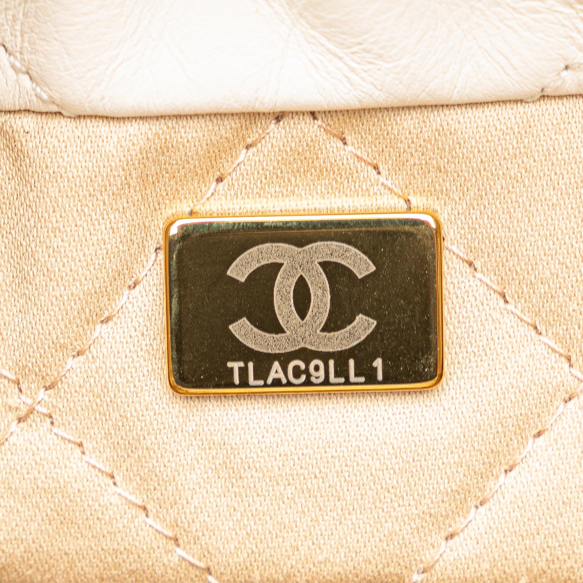 Chanel Mini Shiny Calfskin 22 Hobo (SHG-sj5j49)