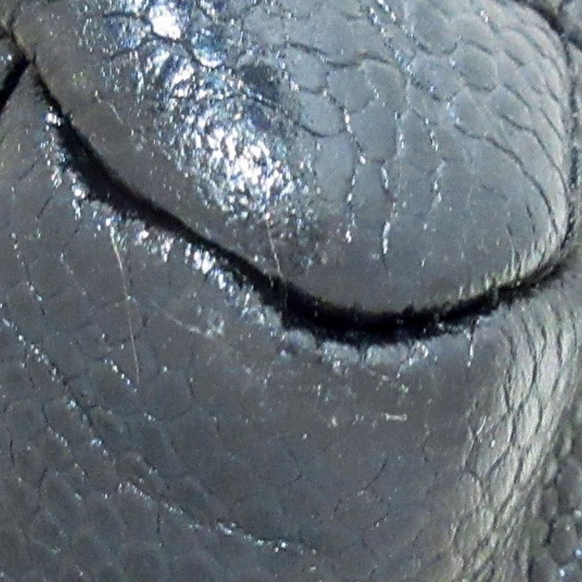 Chanel Petite Caviar Timeless Shopping Tote (SHG-Qfffqc)