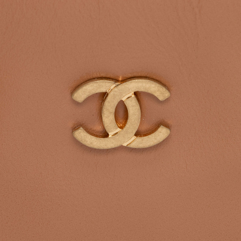 Chanel Shiny Calfskin Small Chanel 22 Pochette (SHF-WnPVx5)