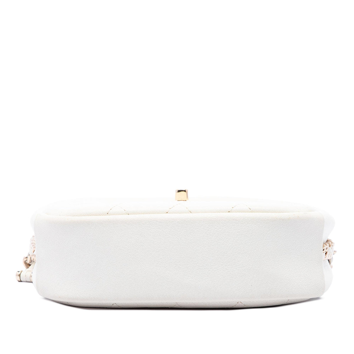 Chanel Small Quilted Goatskin Casual Trip Camera Bag