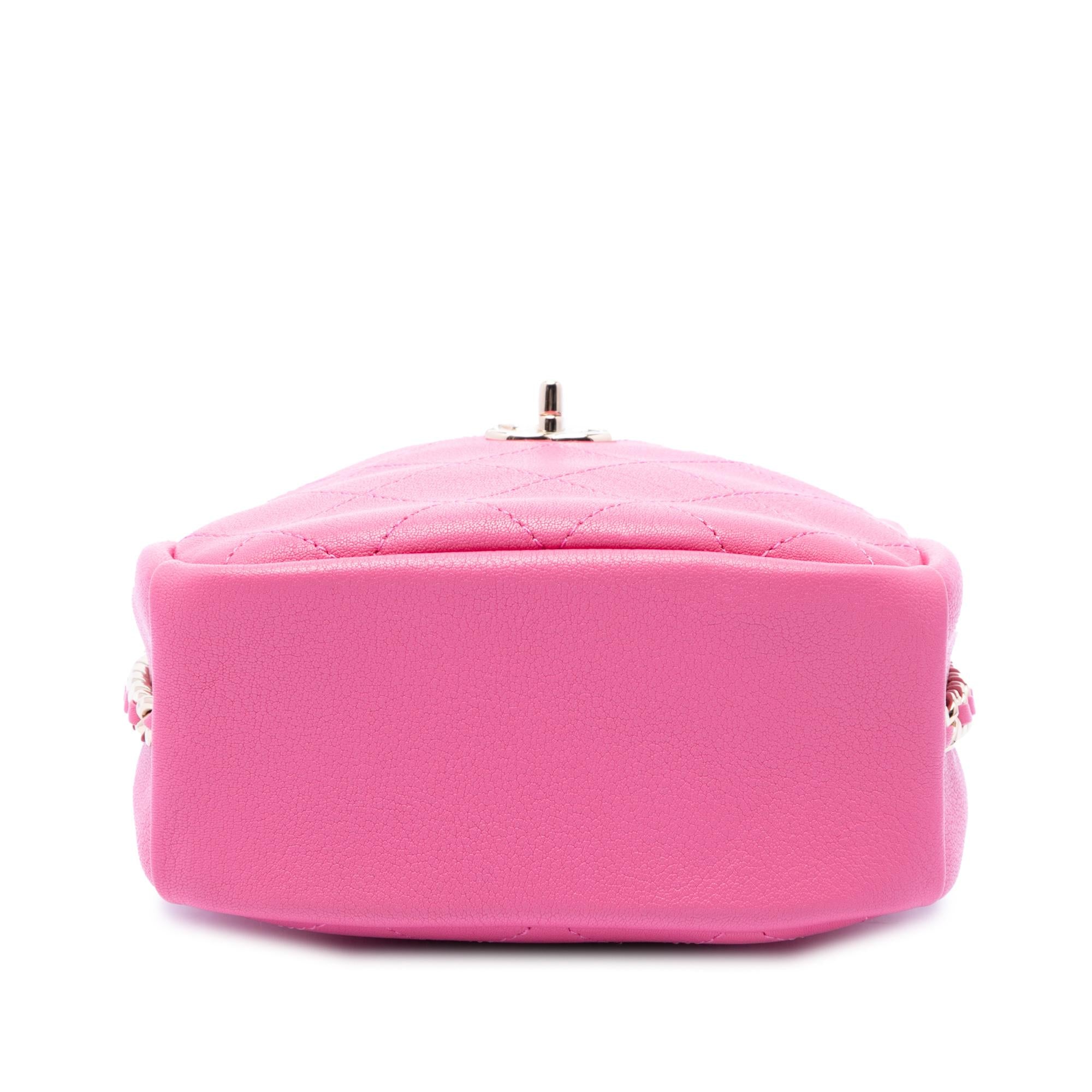 Chanel Stitched Goatskin Casual Trip North South Camera Case