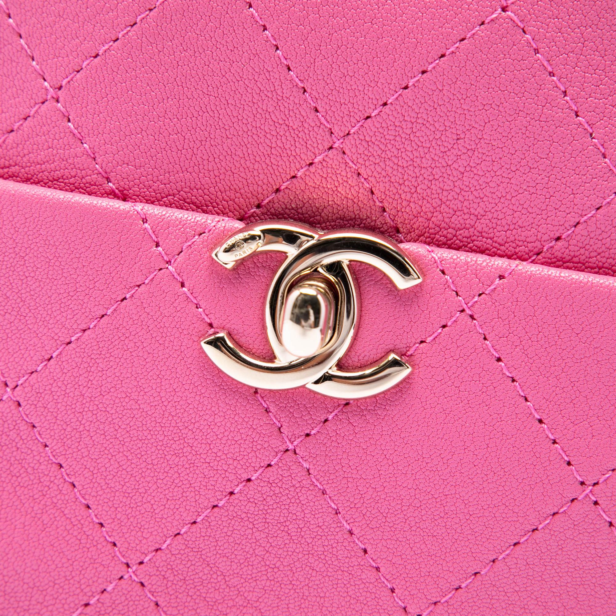 Chanel Stitched Goatskin Casual Trip North South Camera Case