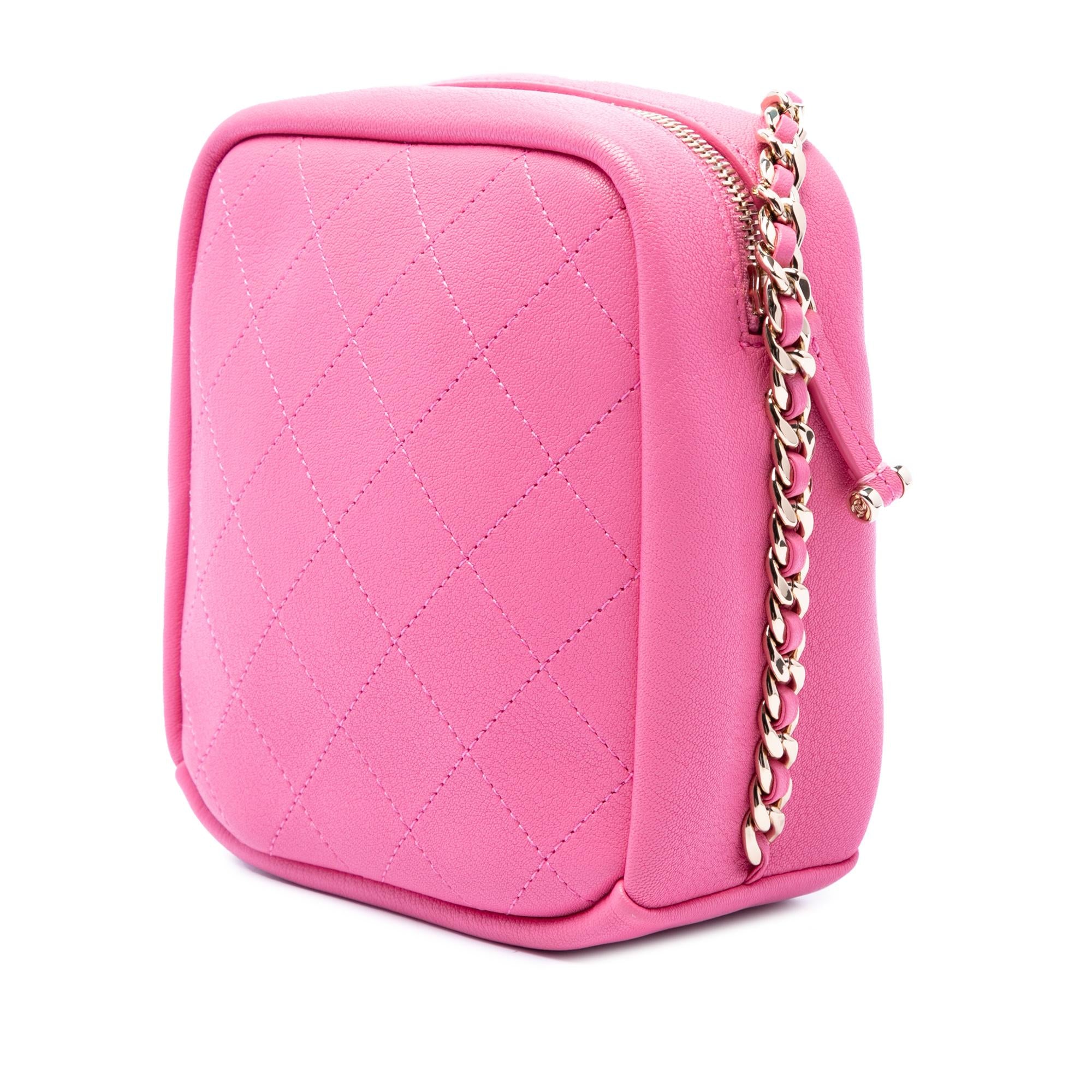 Chanel Stitched Goatskin Casual Trip North South Camera Case