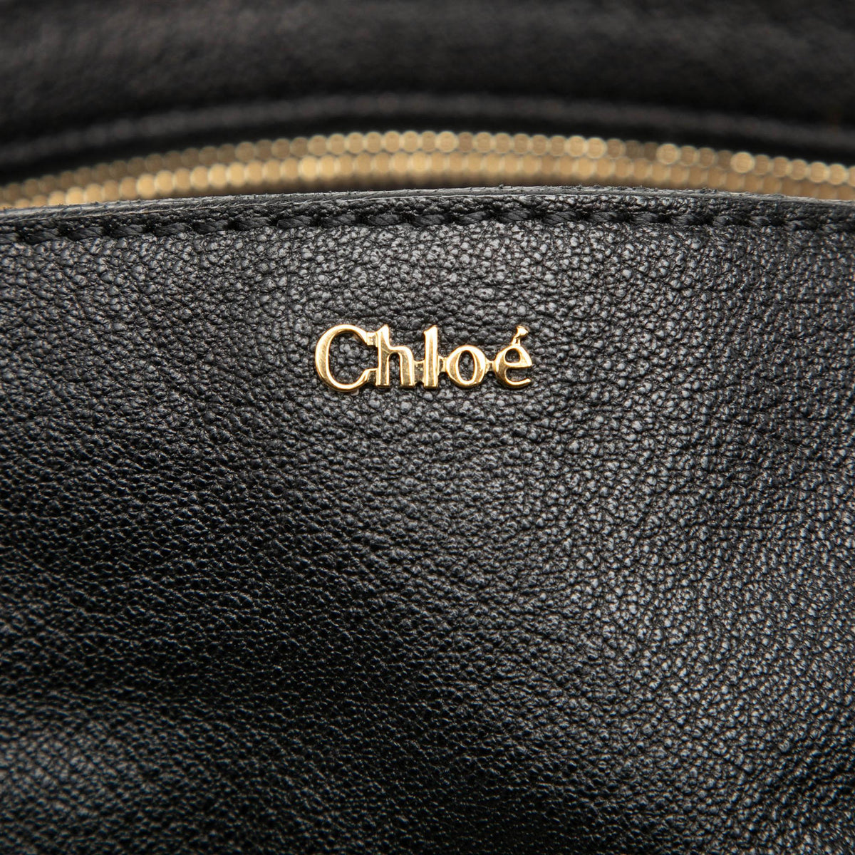 Chloe Leather Elsie Satchel