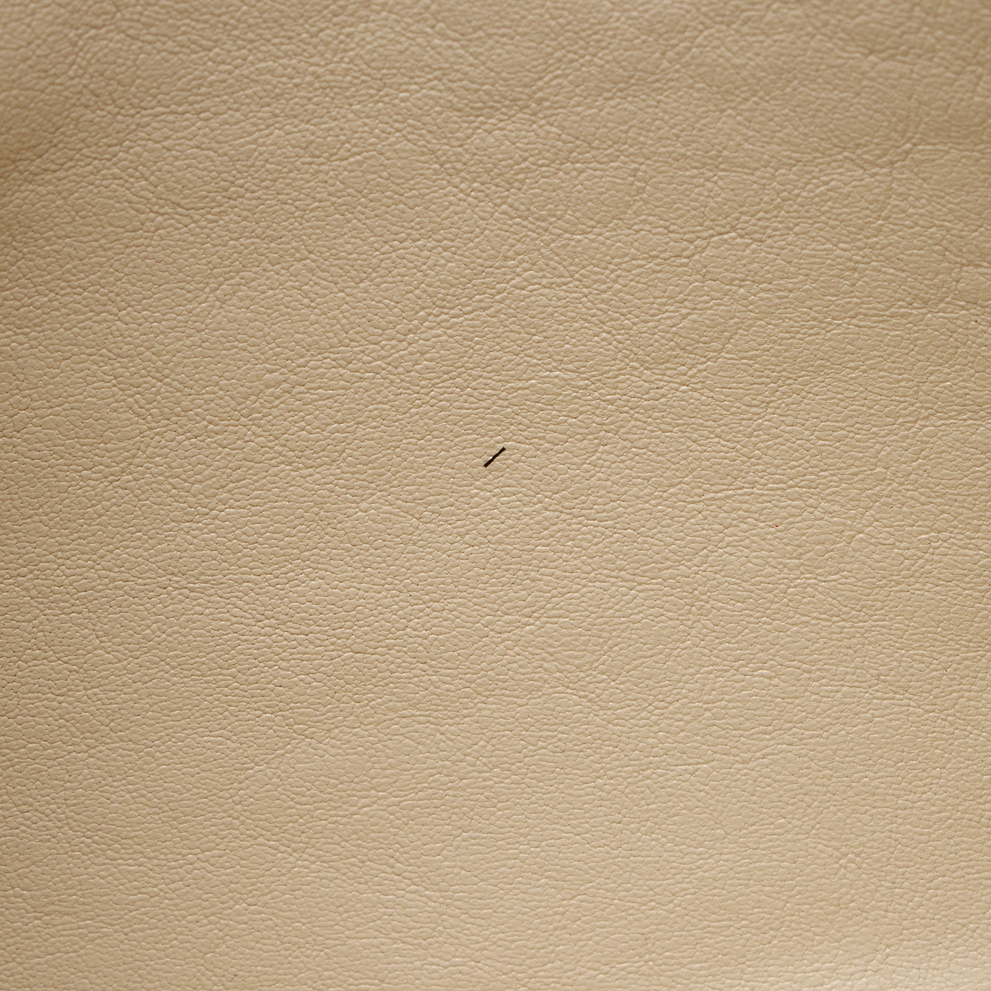 Chloe Sheepskin Ghost Flat Pouch Clutch