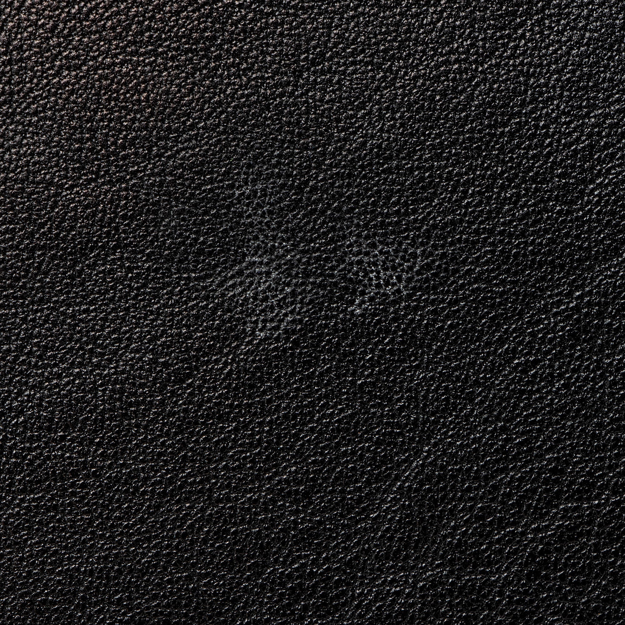 Chloe Sheepskin Ghost Flat Pouch Clutch
