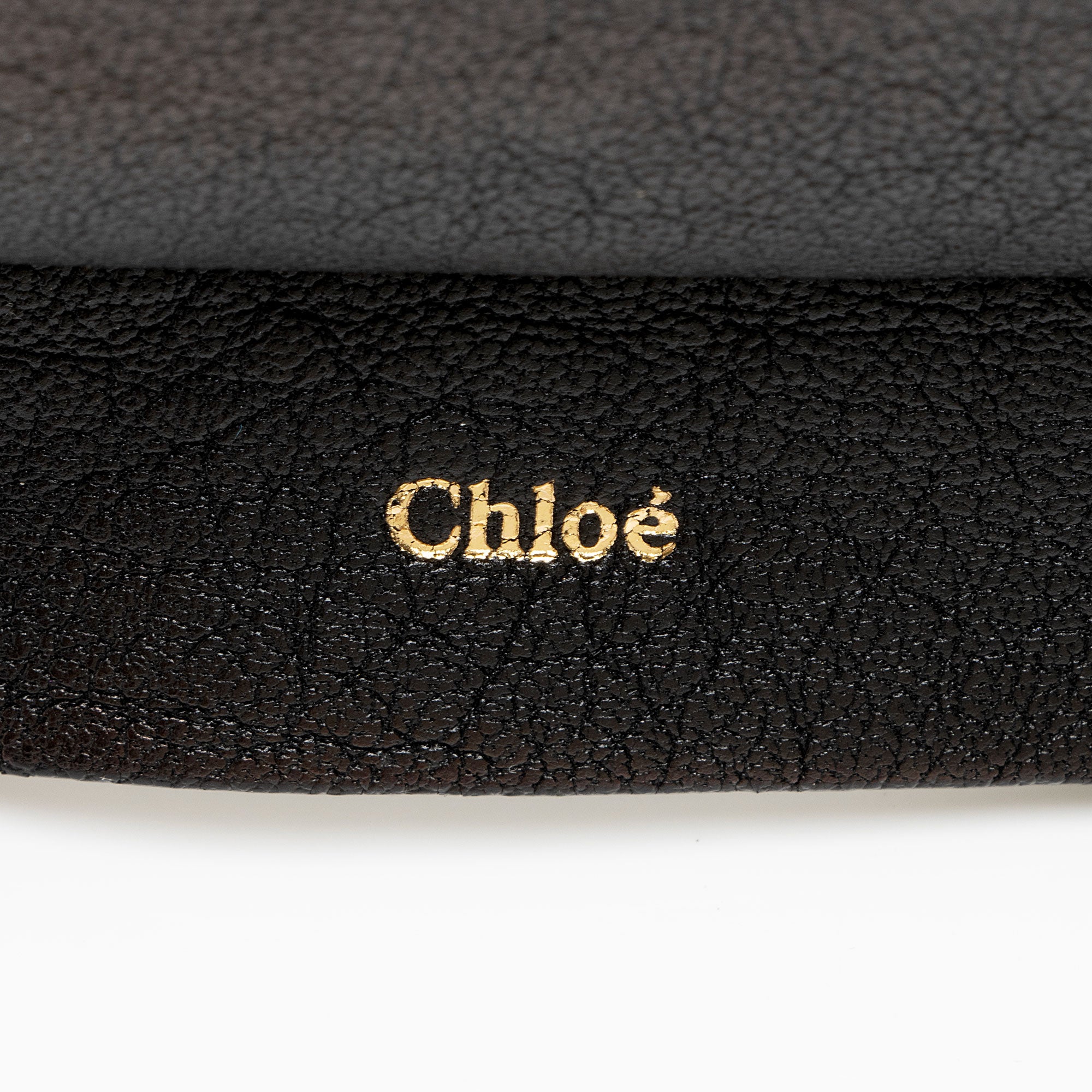 Chloe Sheepskin Ghost Flat Pouch Clutch