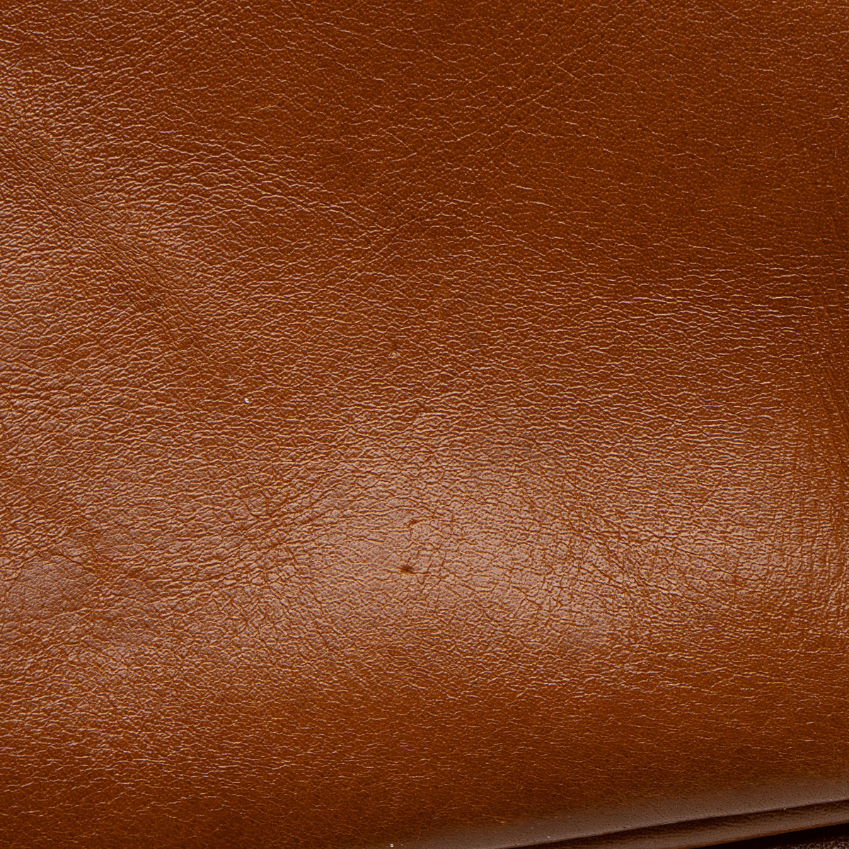 Chloe Shiny Leather Medium Camera Bag