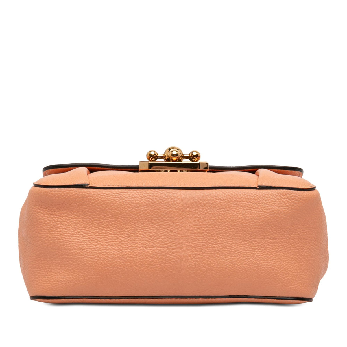 Chloe Small Leather Elsie Crossbody
