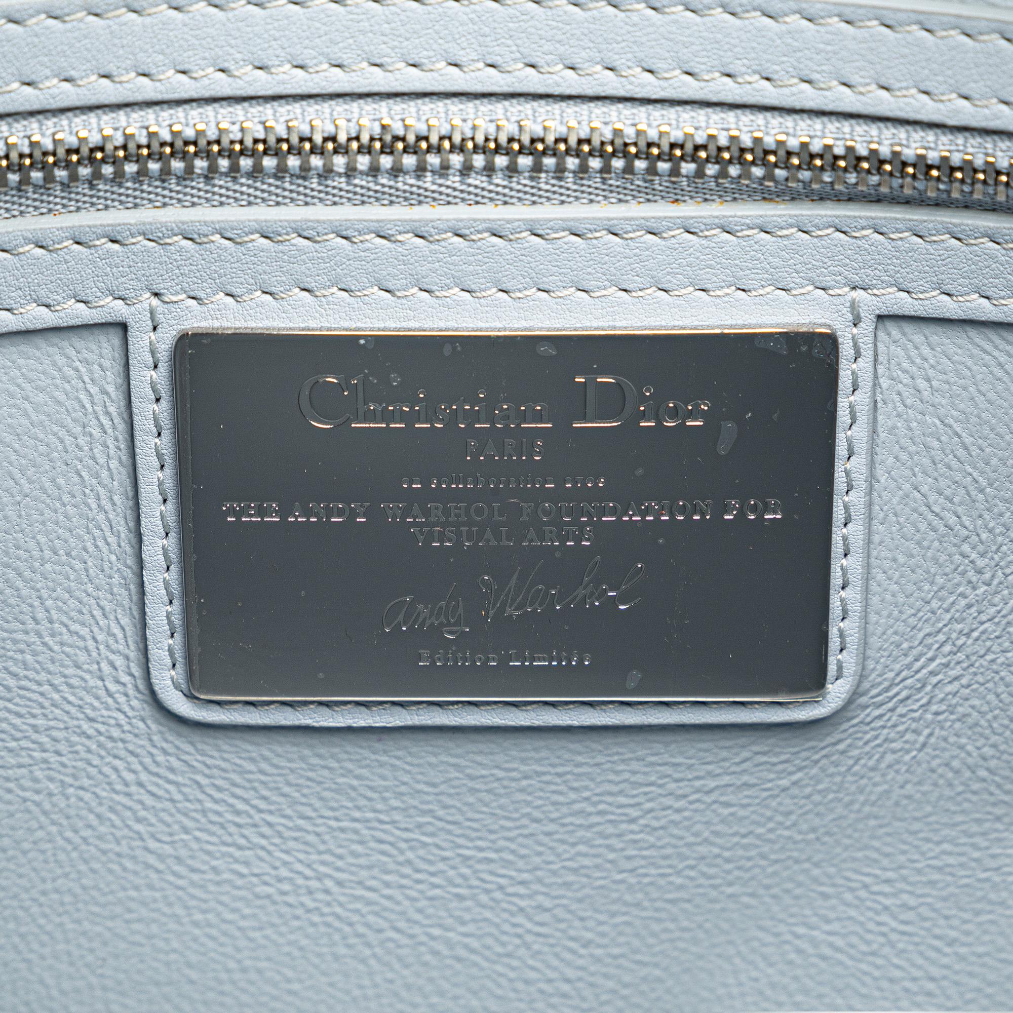 Dior Andy Warhol Large Calfskin Lady Dior (SHG-emYYff)