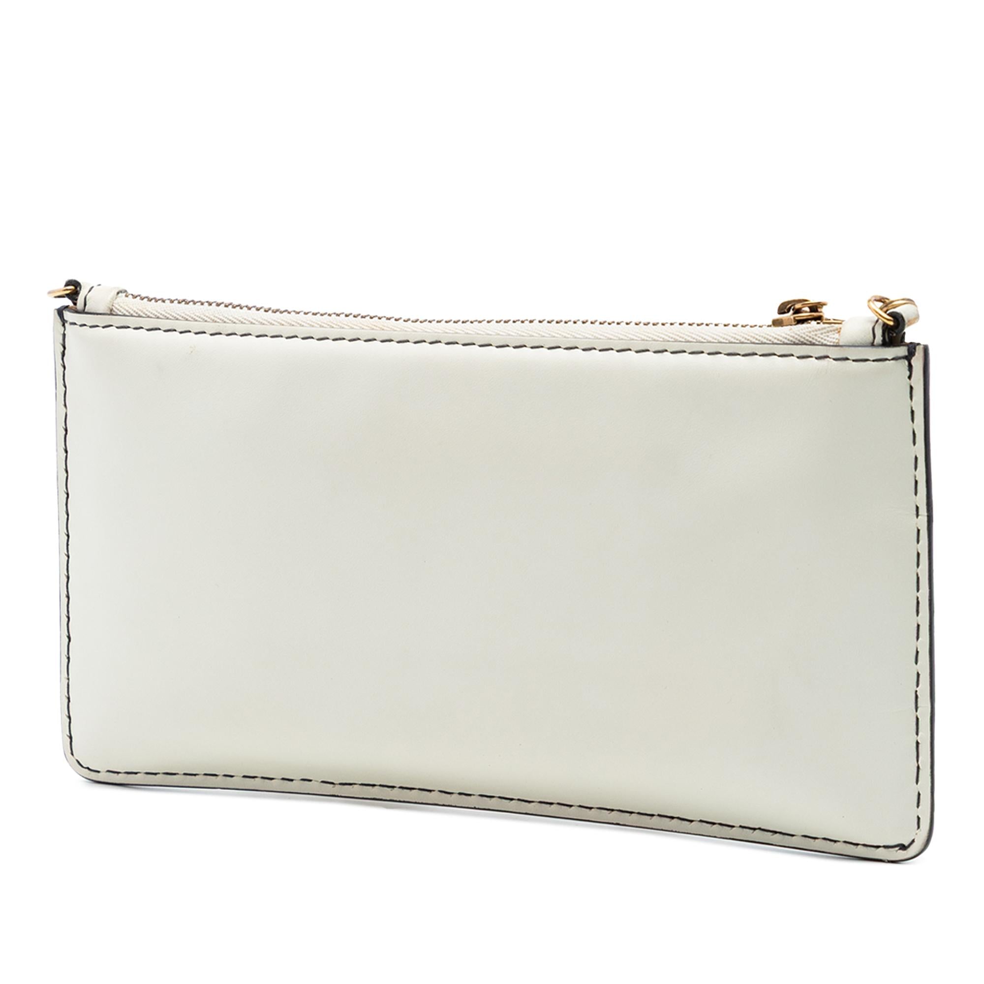 Dior Calfskin JAdior Croisiere Chain Pouch