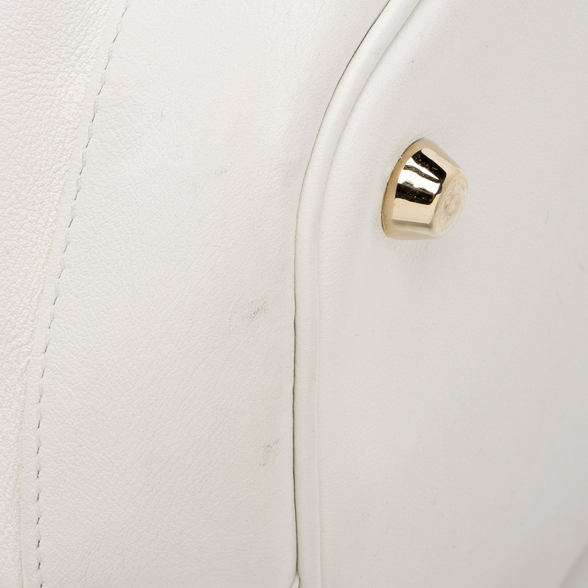 Dior Calfskin Snakeskin Paradise Bubble Bucket Bag