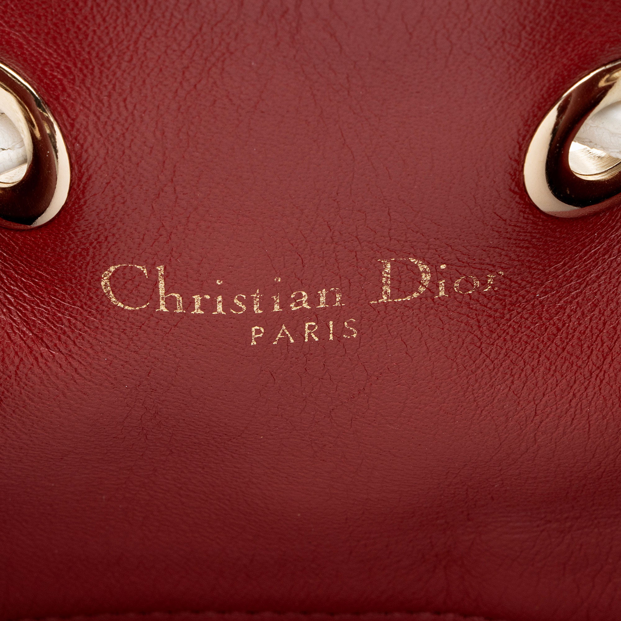 Dior Calfskin Snakeskin Paradise Bubble Bucket Bag