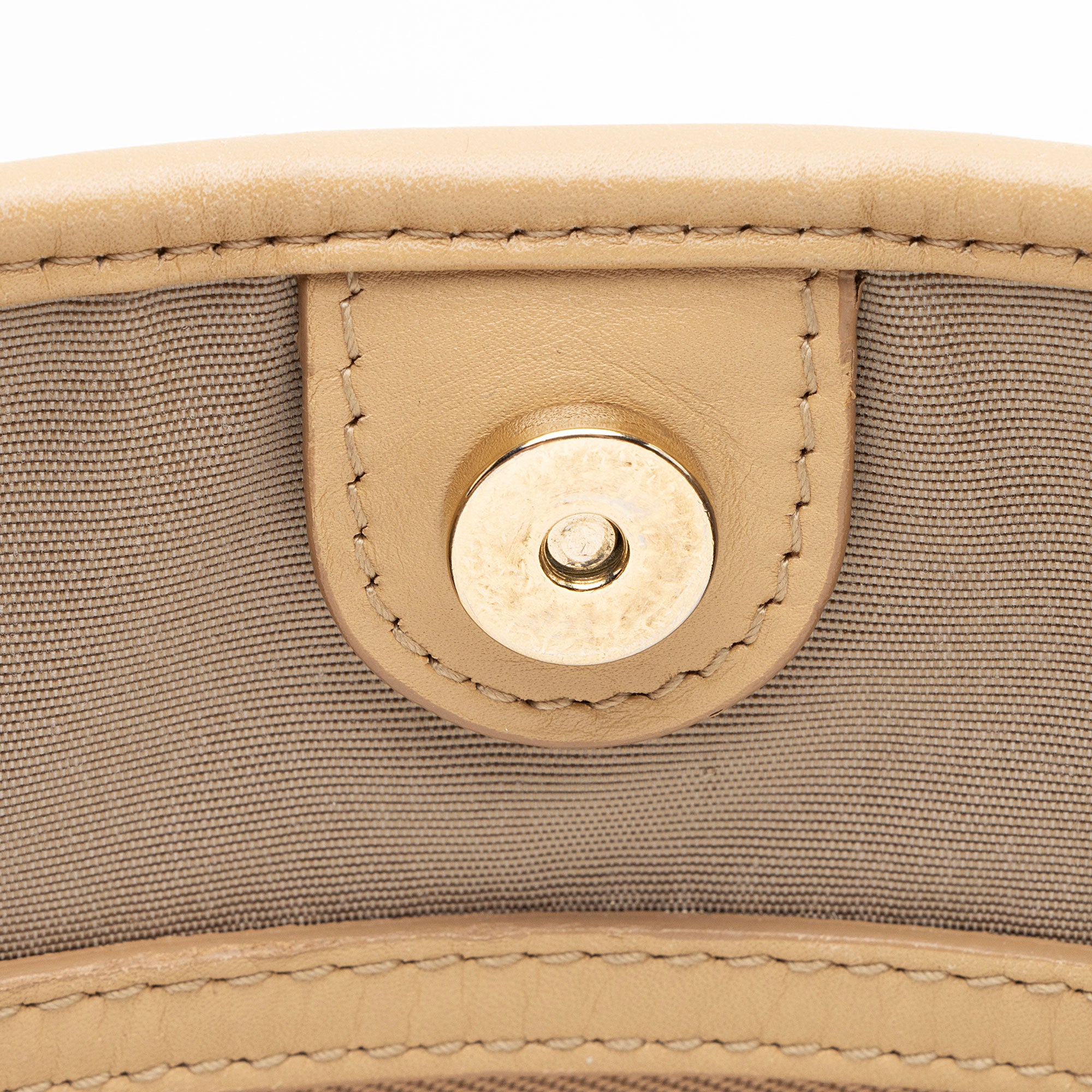 Dior Coated Canvas Panarea Small Tote