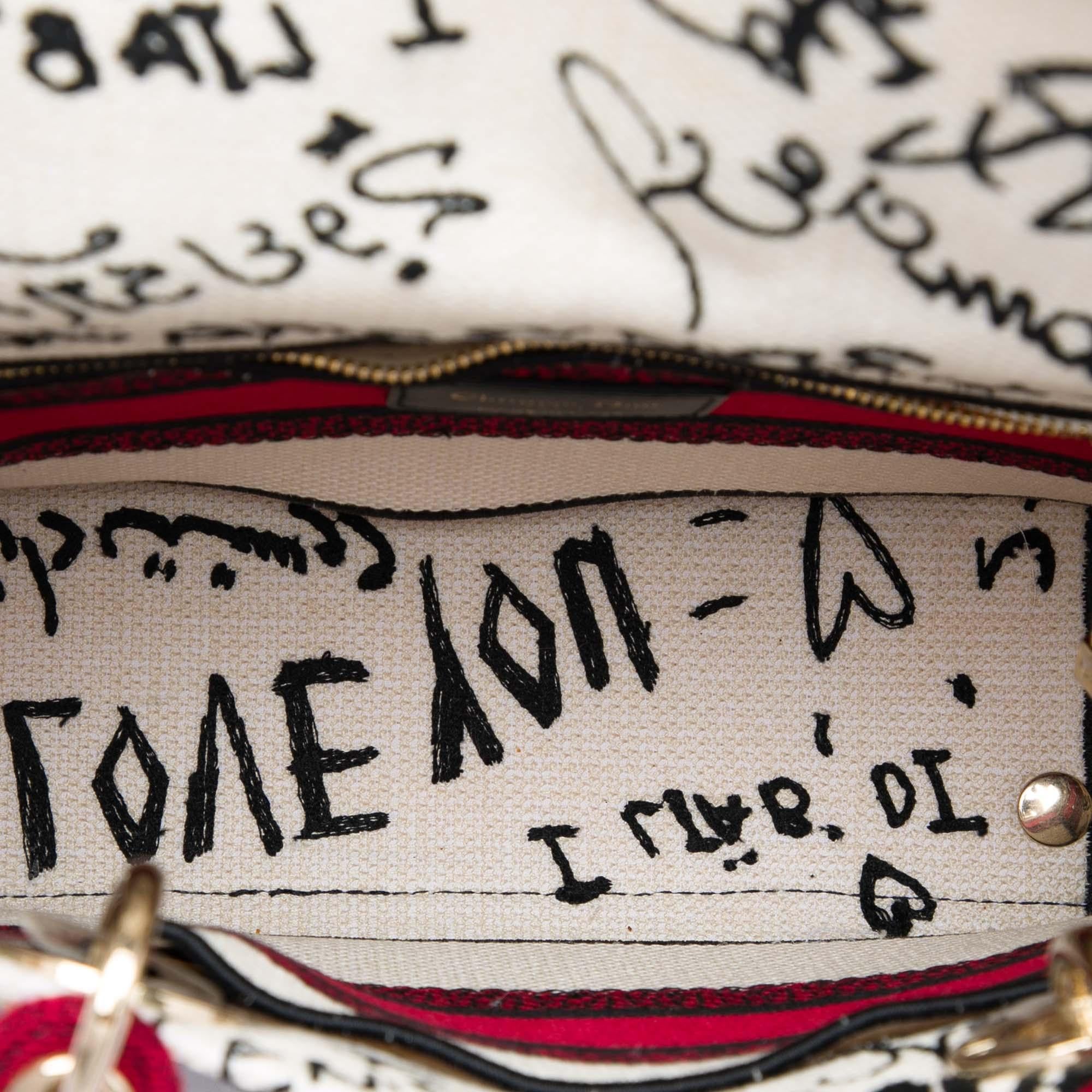 Dior DiorAmour Medium Embroidered Canvas Graffiti Lady D Lite