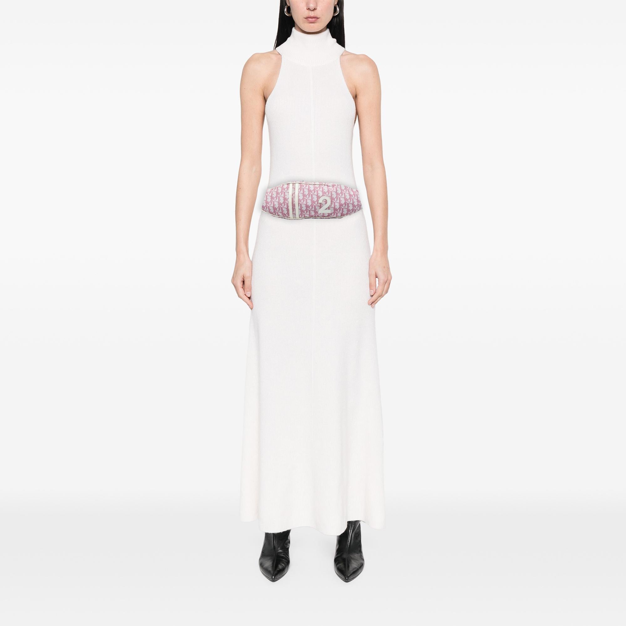 Dior Diorissimo Trotter Nylon No 2 Belt Bag
