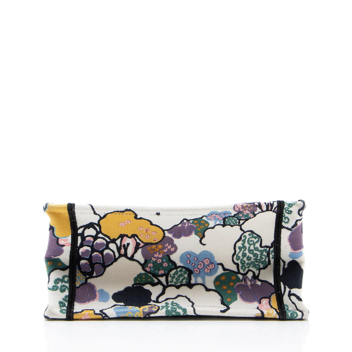 Dior Embroidered Canvas Small Book Tote