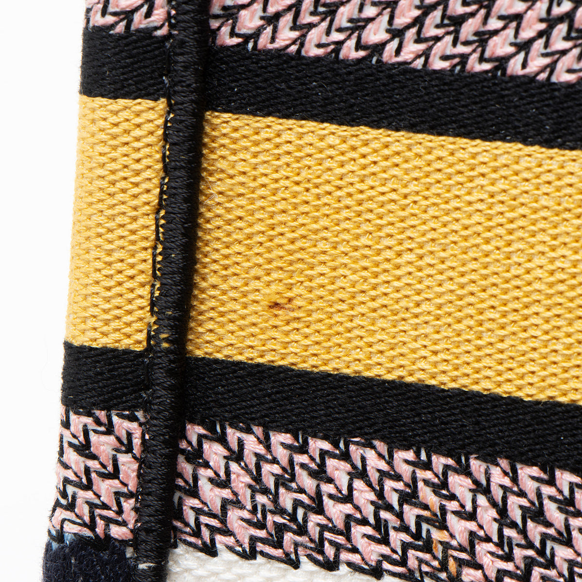 Dior Embroidered Canvas Small Book Tote
