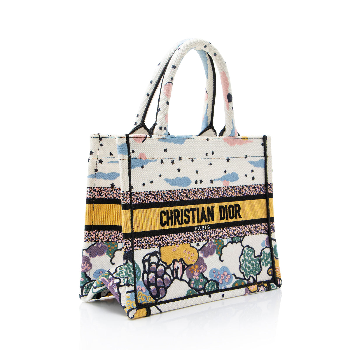 Dior Embroidered Canvas Small Book Tote