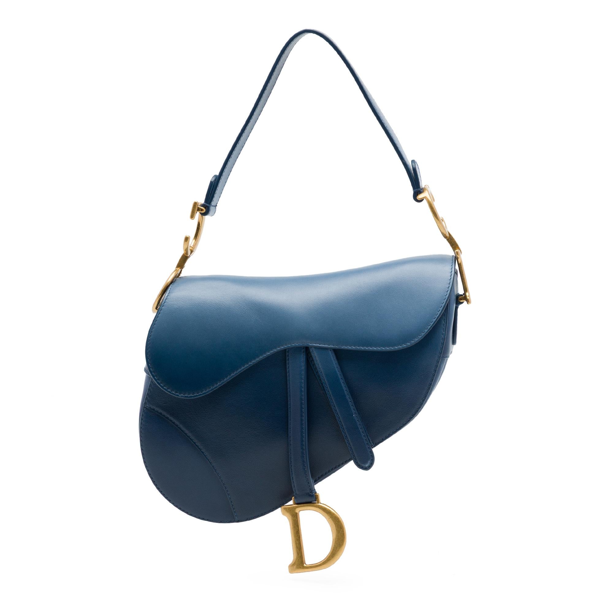 Dior Gradient Calfskin Saddle Bag