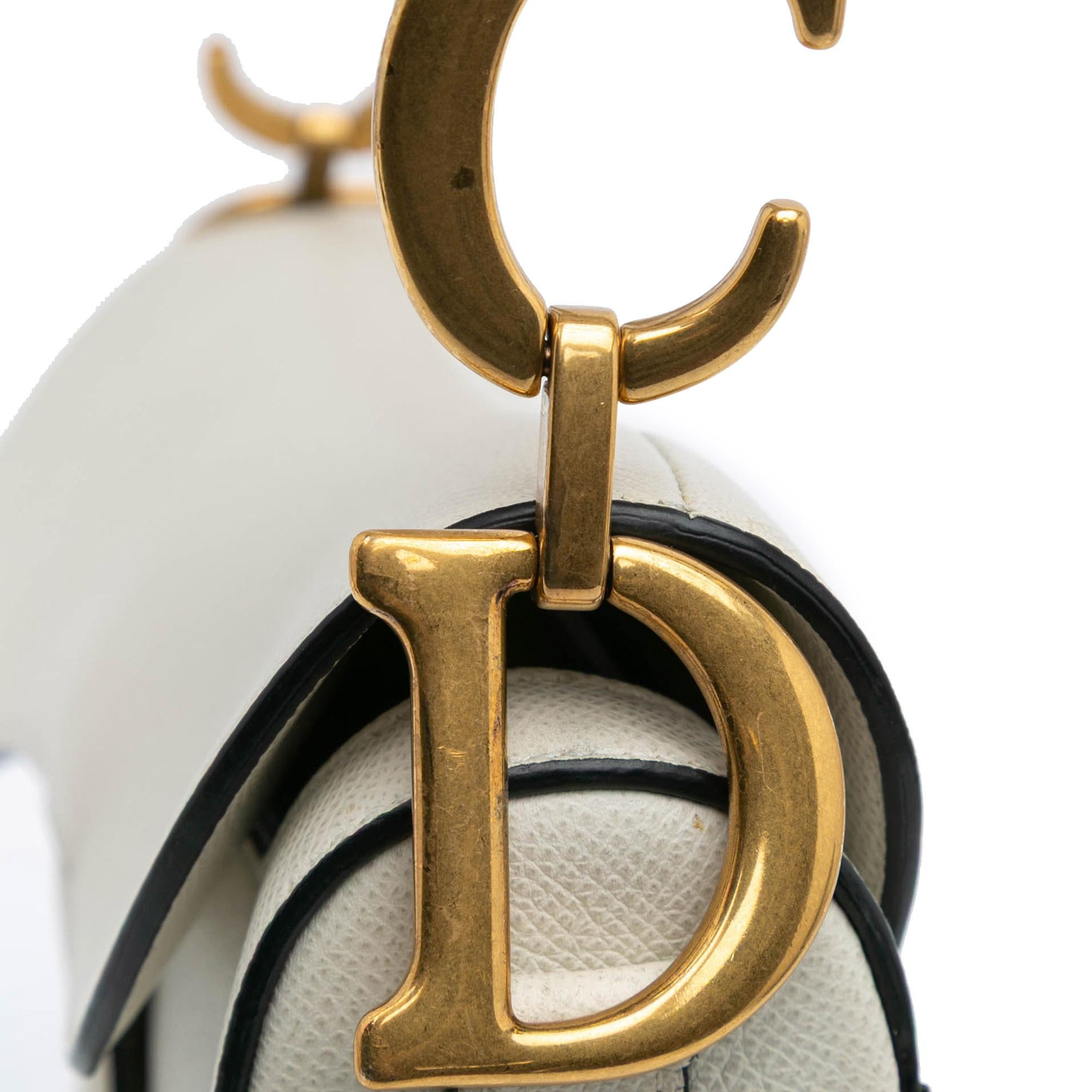 Dior Grained Calfskin Saddle Bag