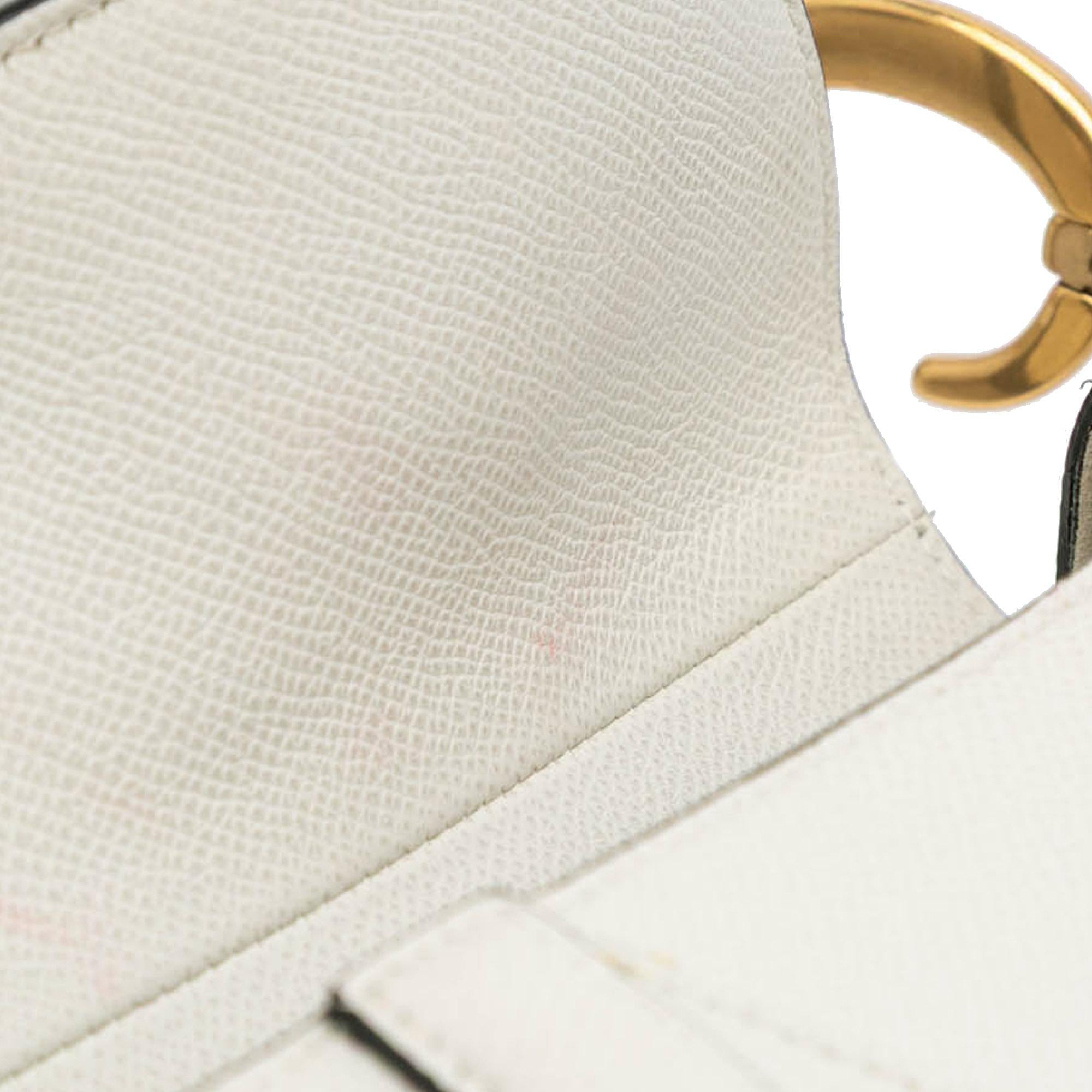 Dior Grained Calfskin Saddle Bag
