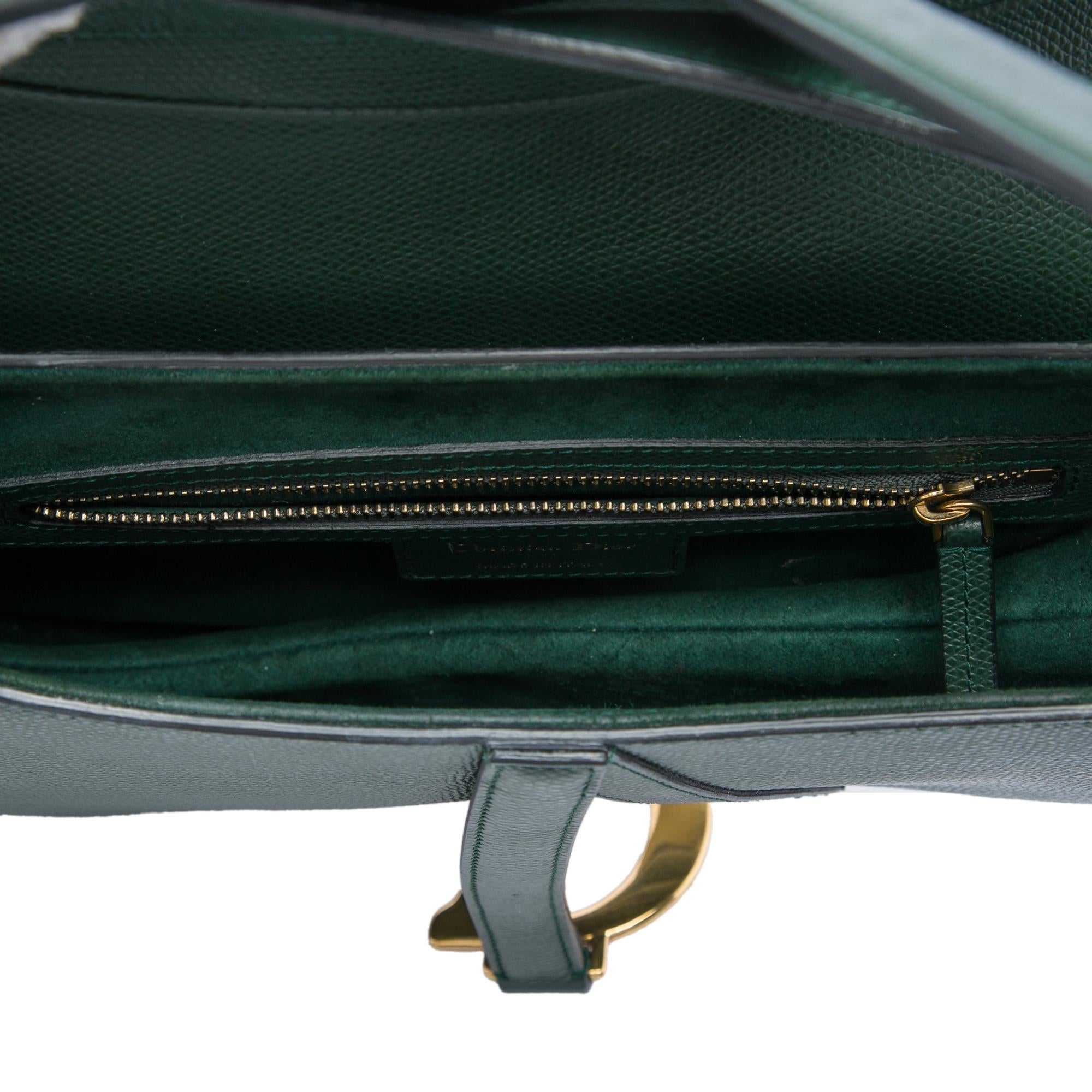 Dior Grained Calfskin Saddle Bag