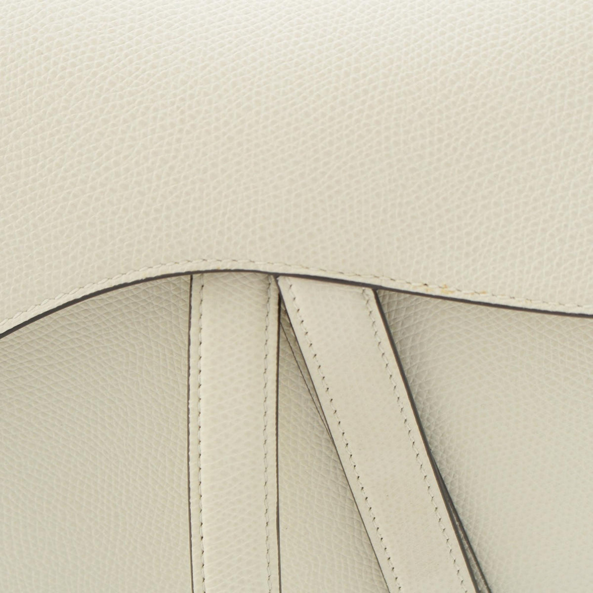 Dior Grained Calfskin Saddle Bag