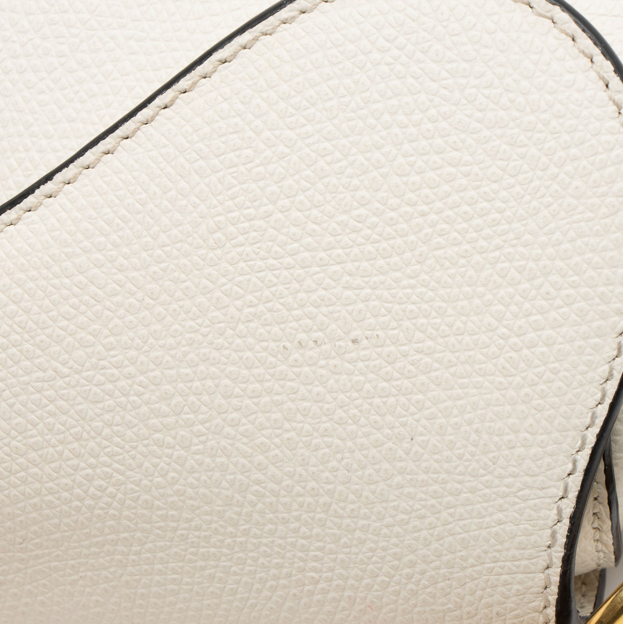 Dior Grained Calfskin Saddle Mini Bag