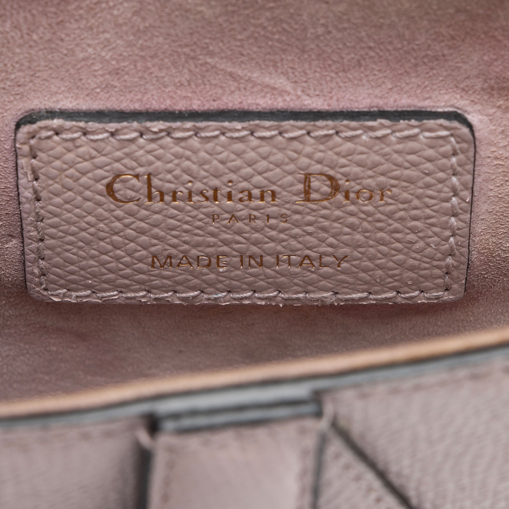 Dior Grained Calfskin Saddle Mini Bag