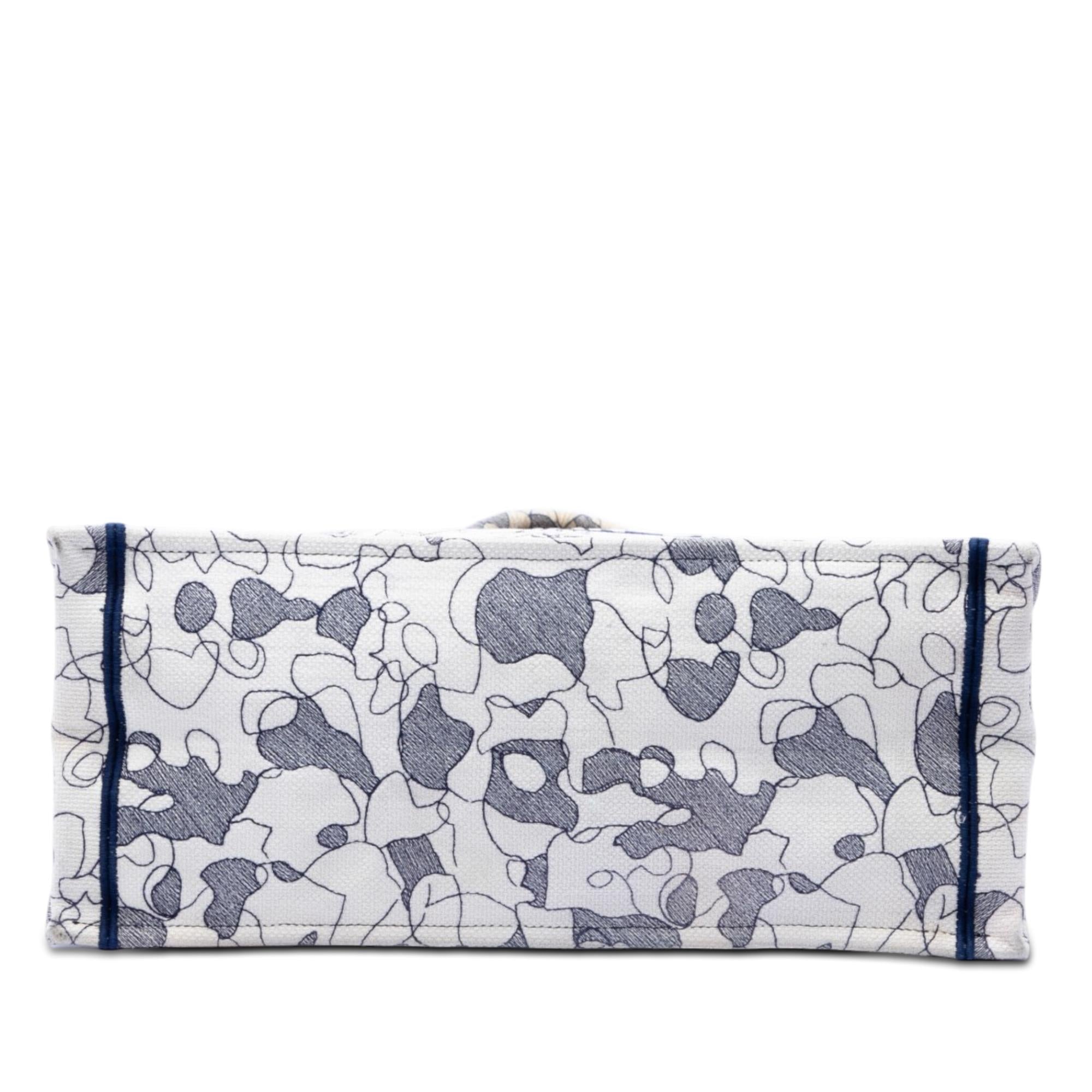 Dior Large Canvas Embroidered Around The World Book Tote