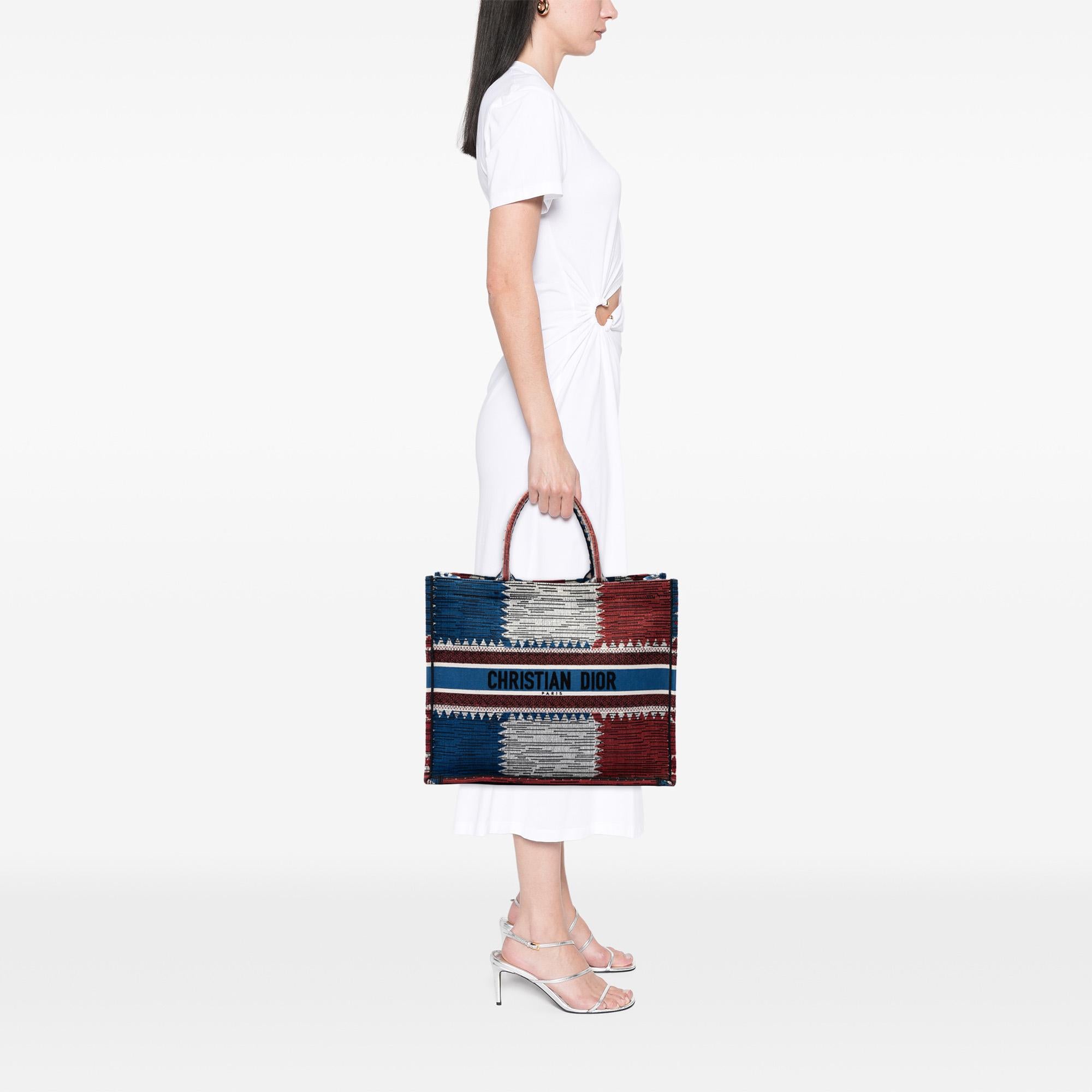 Dior Large Canvas French Flag Book Tote