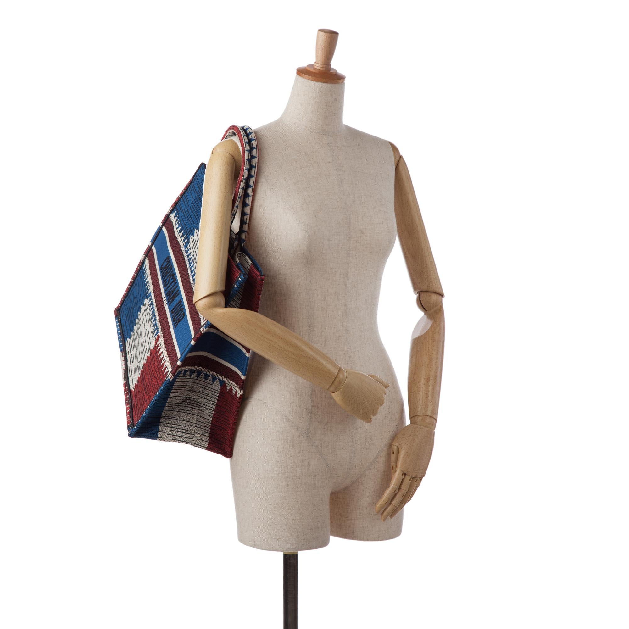 Dior Large French Flag Book Tote (SHG-vWHMYc)
